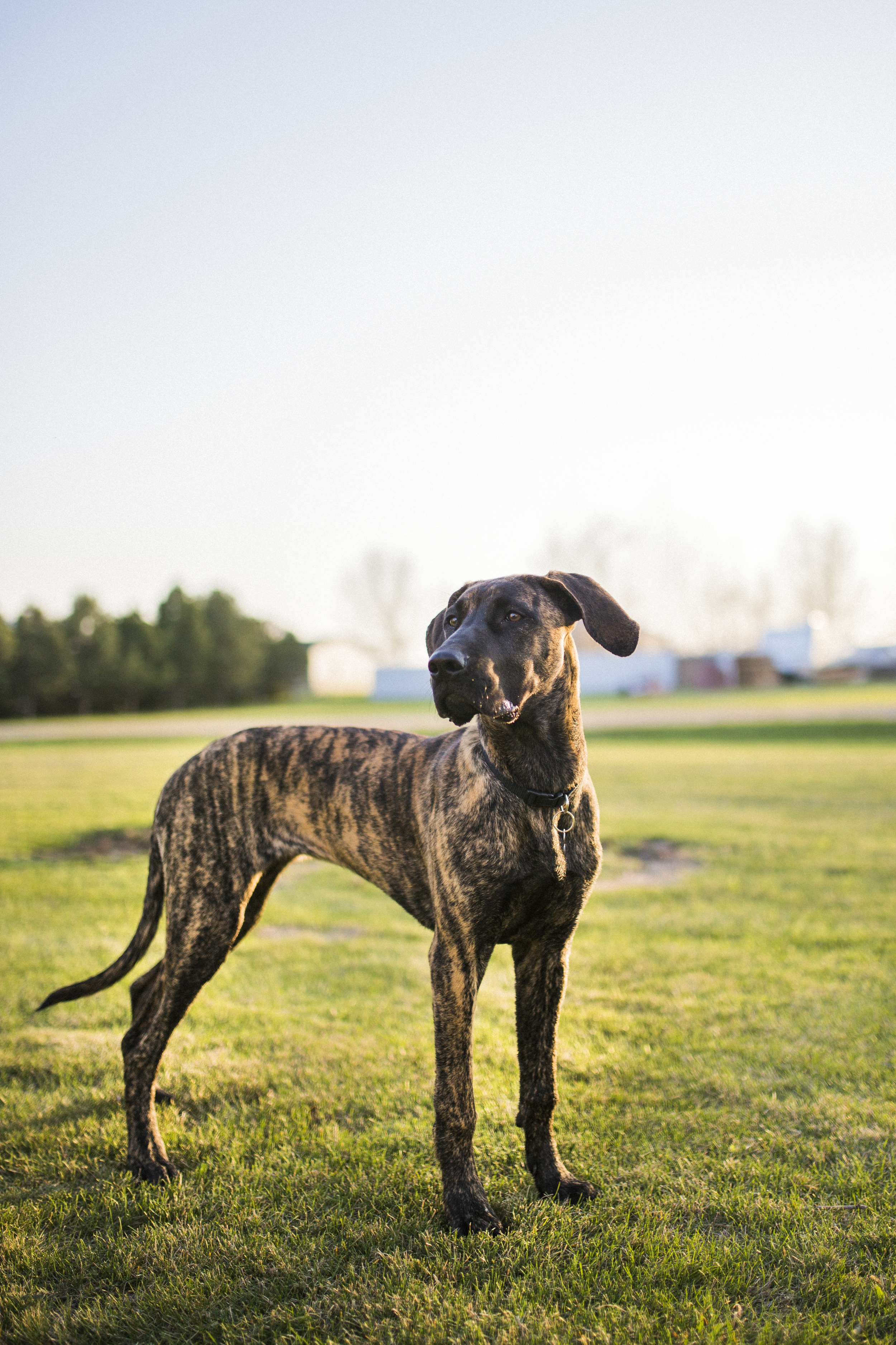 Bismarck, ND Photography