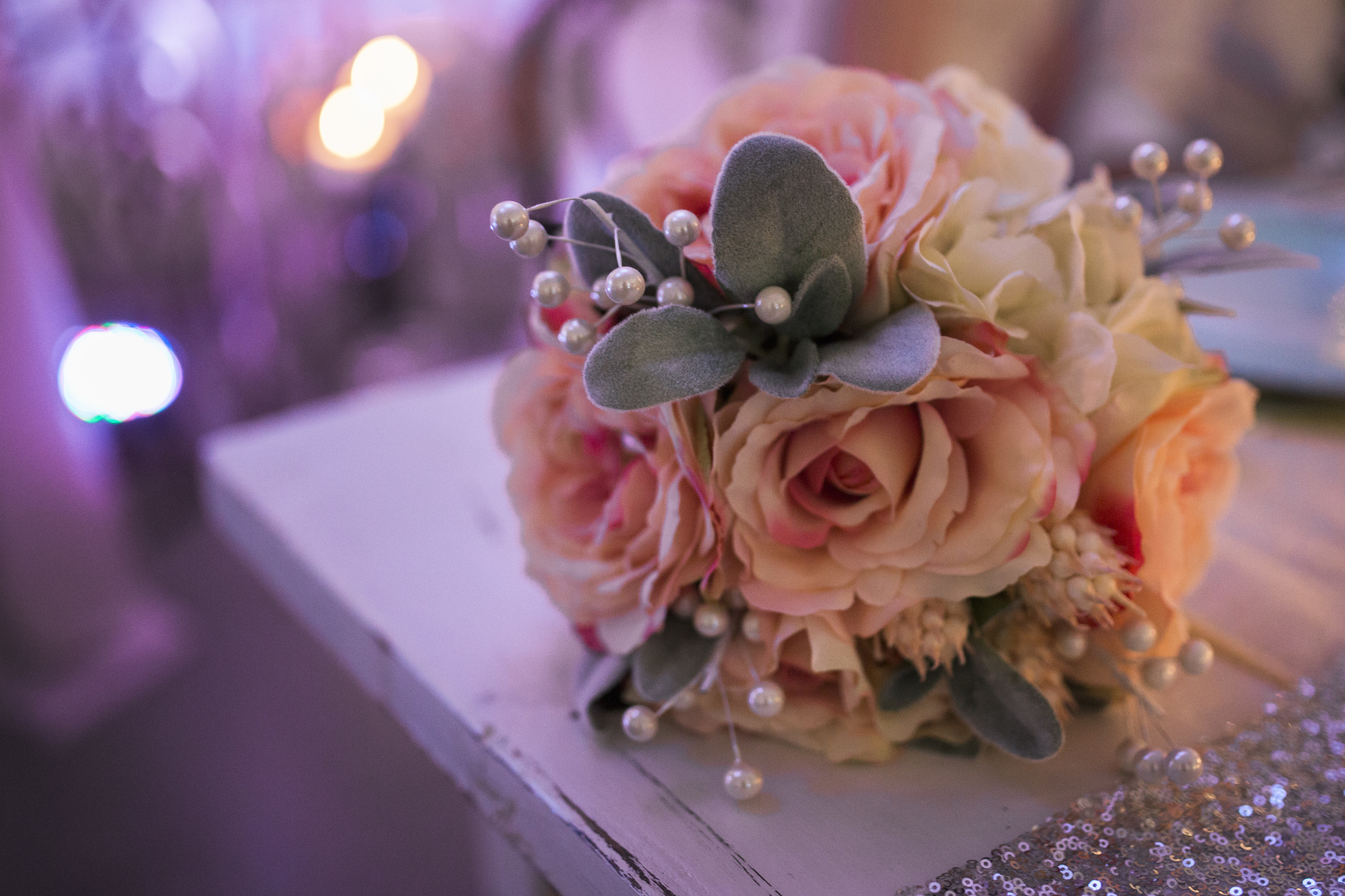 Bismarck, ND Wedding Photography