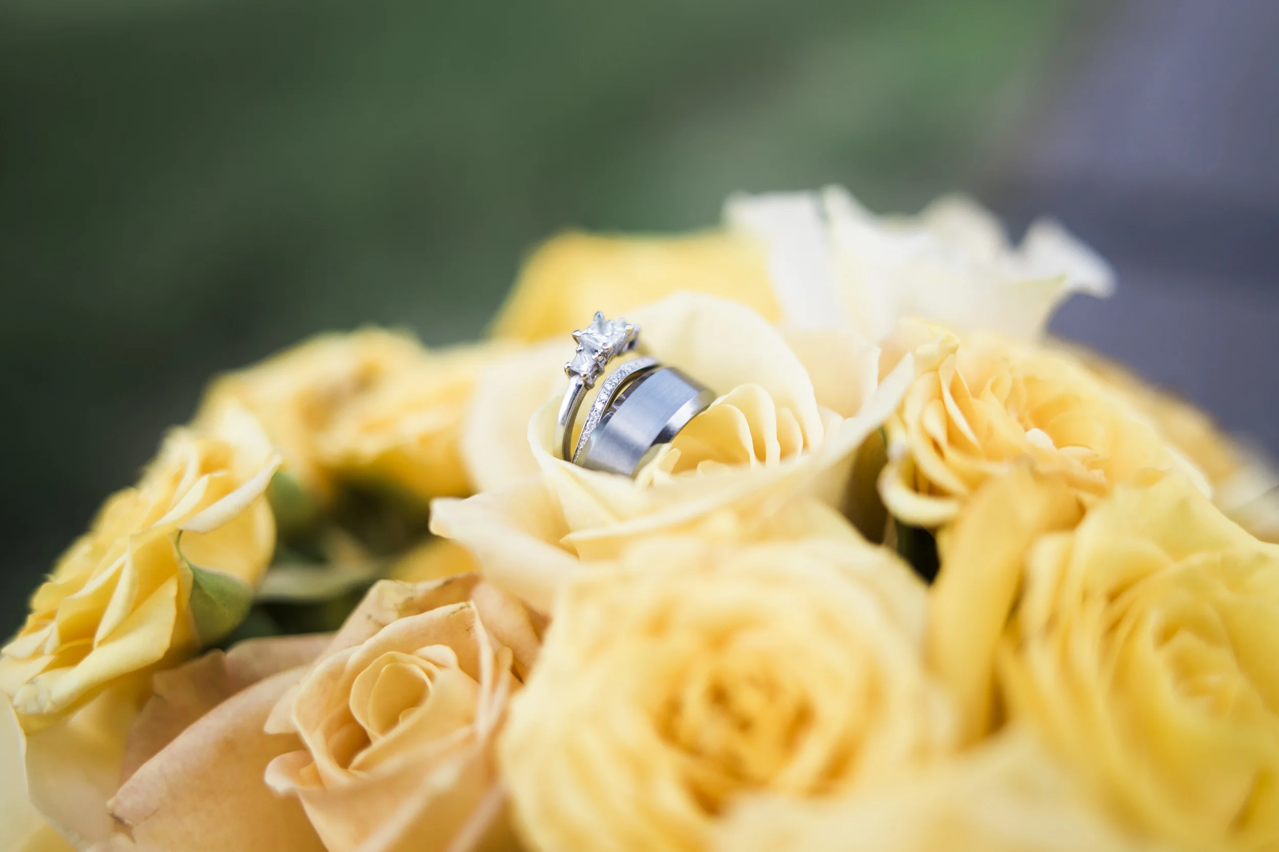 Bismarck, ND Wedding Photography