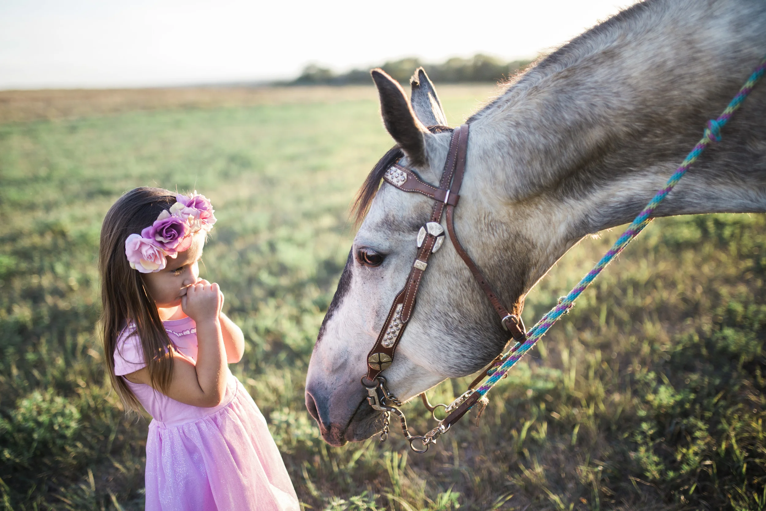 Bismarck, ND Family Photography
