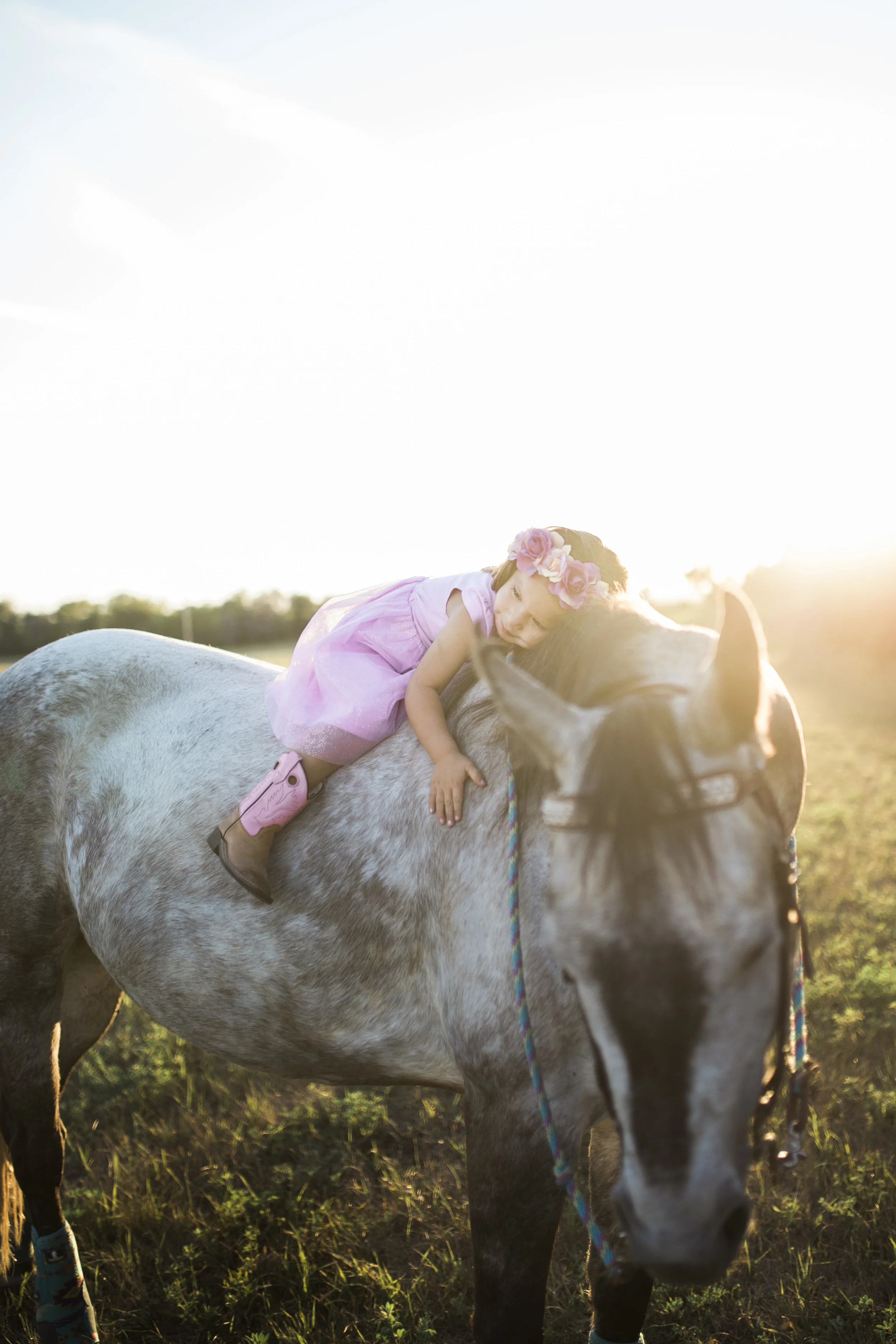 Bismarck, ND Family Photography