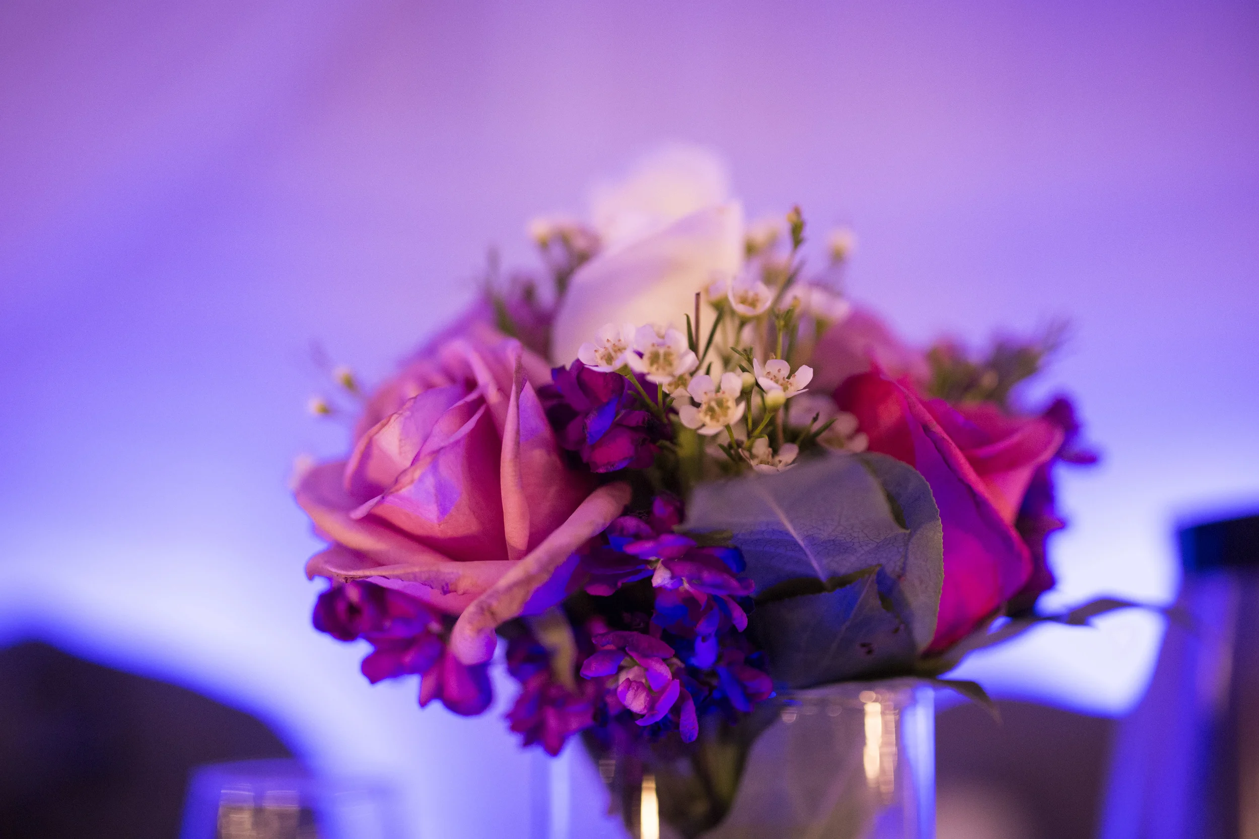 Bismarck, ND Wedding Photography