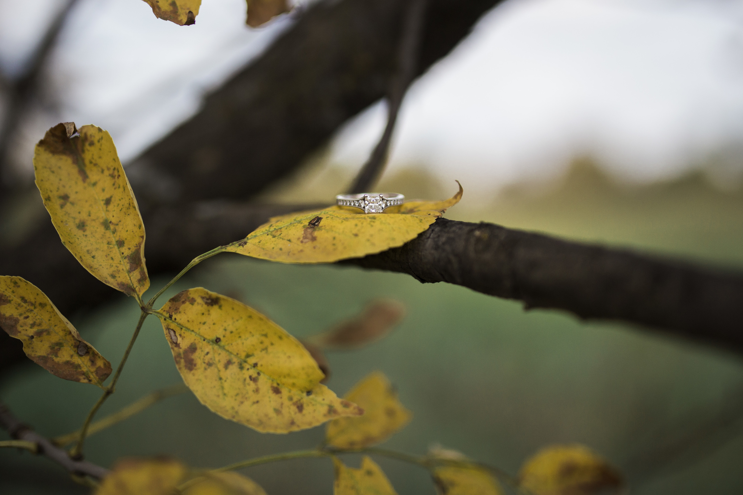 Bismarck, ND Wedding Photography