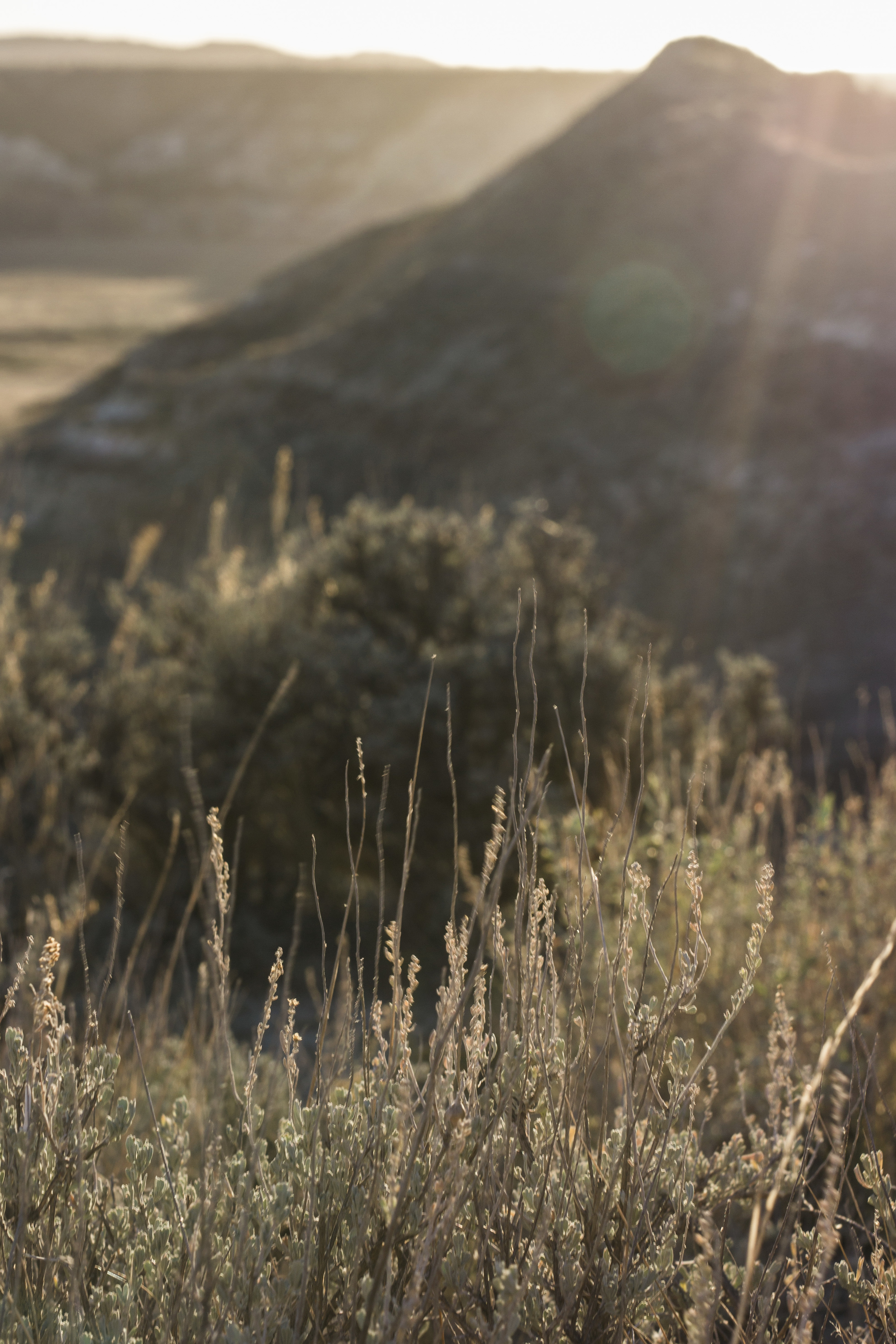 Theodore Roosevelt National Park Photography