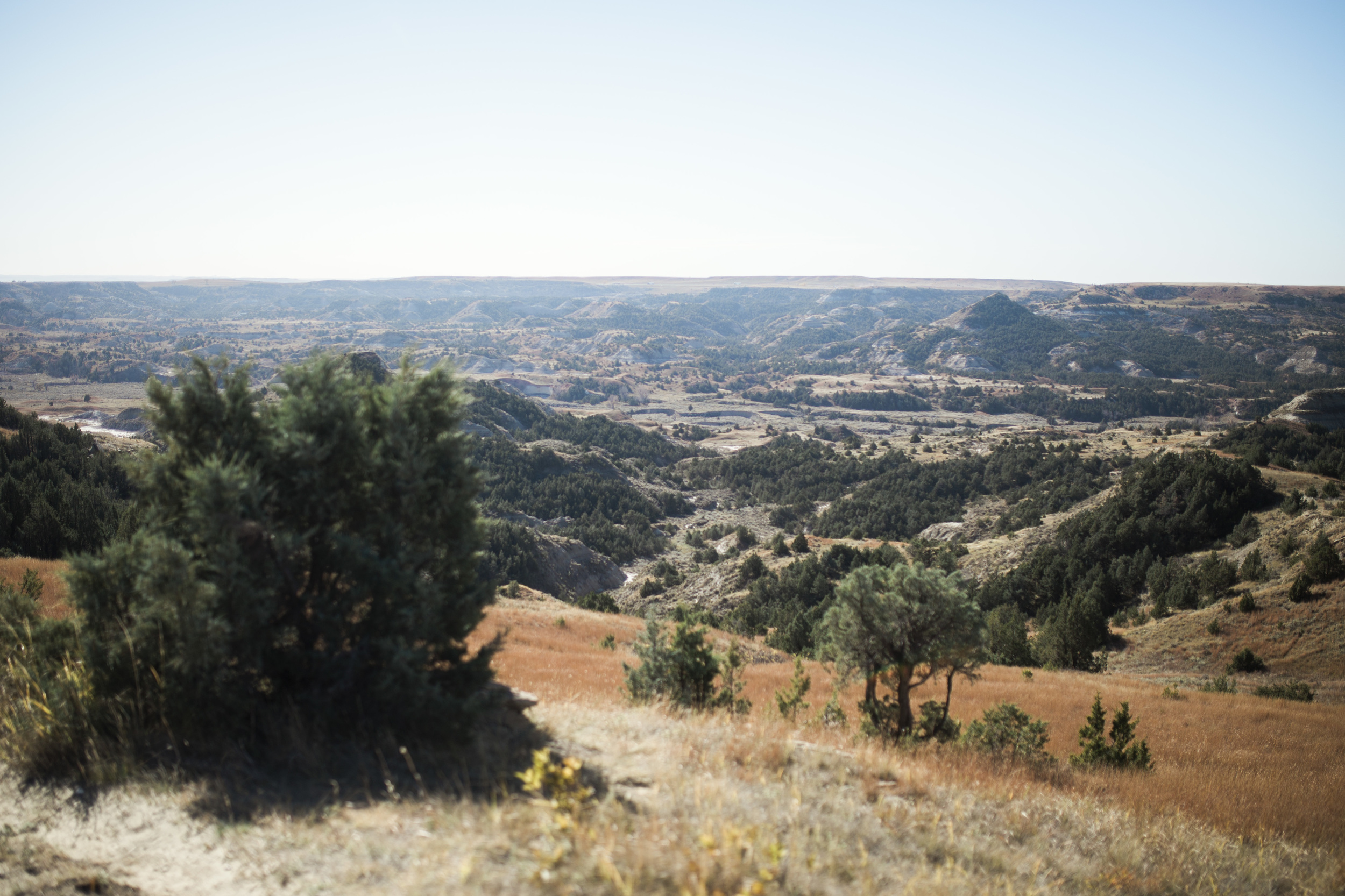 Theodore Roosevelt National Park Photography