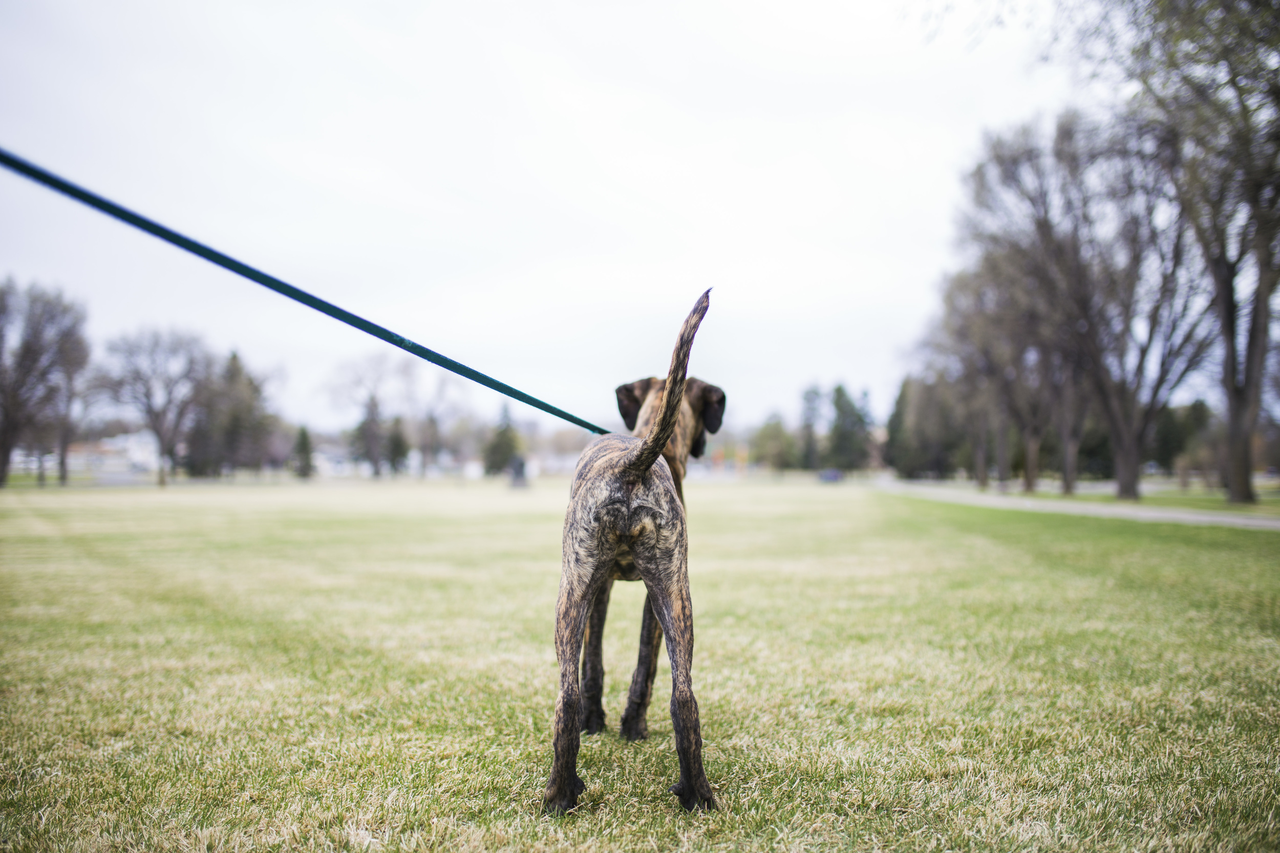 Bismarck, ND Photography