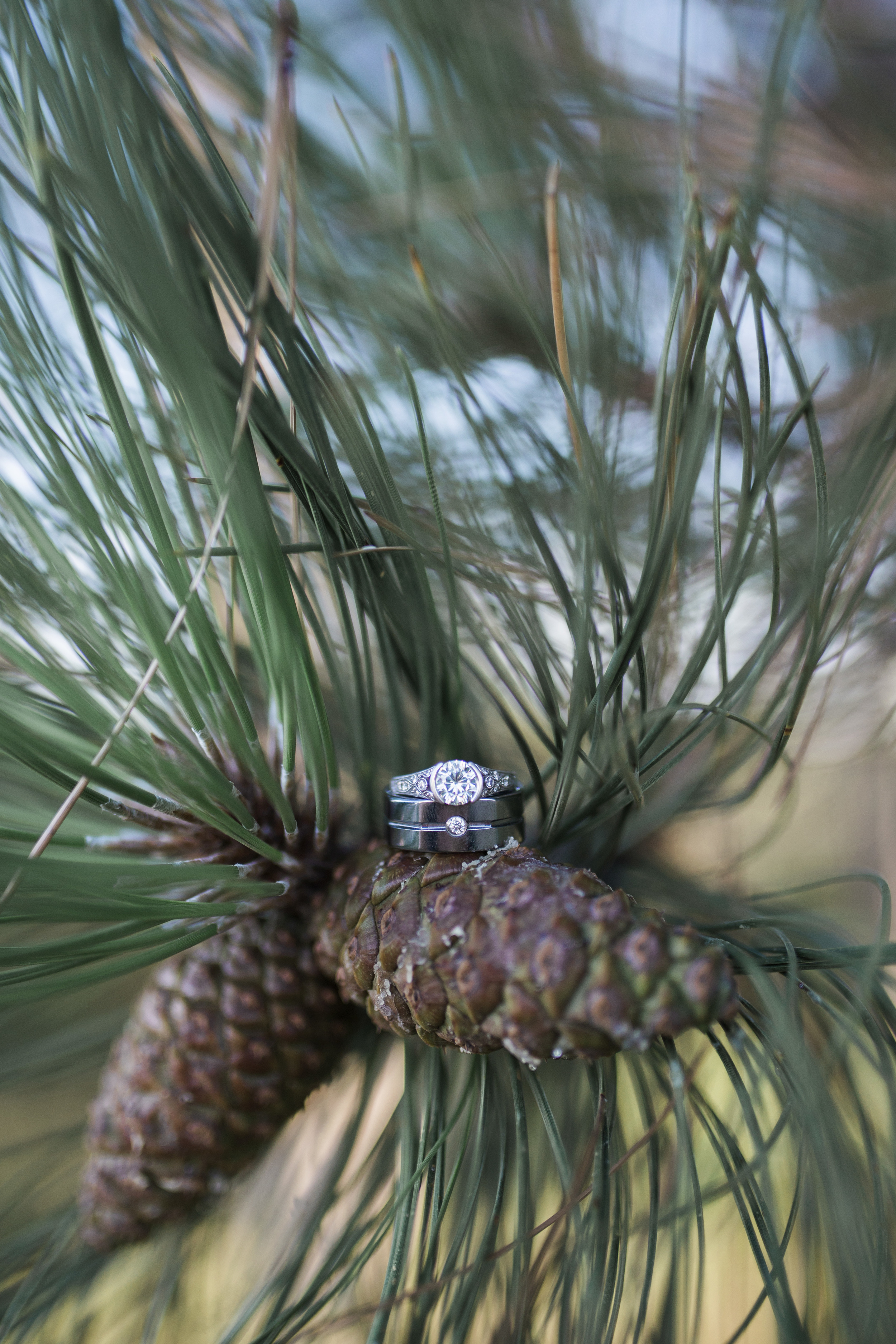 Bismarck, ND Wedding Photography