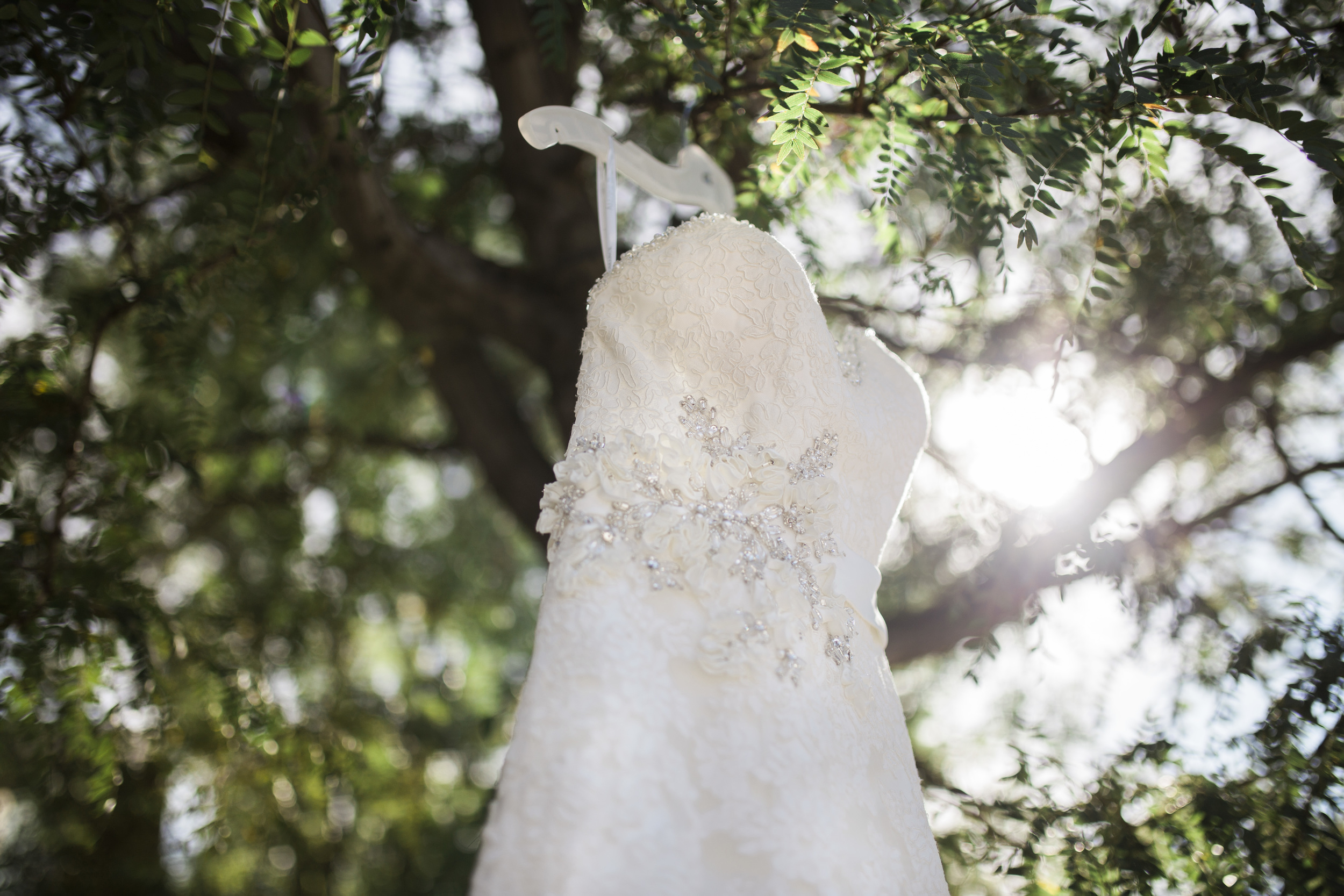 Bismarck, ND Wedding Photography