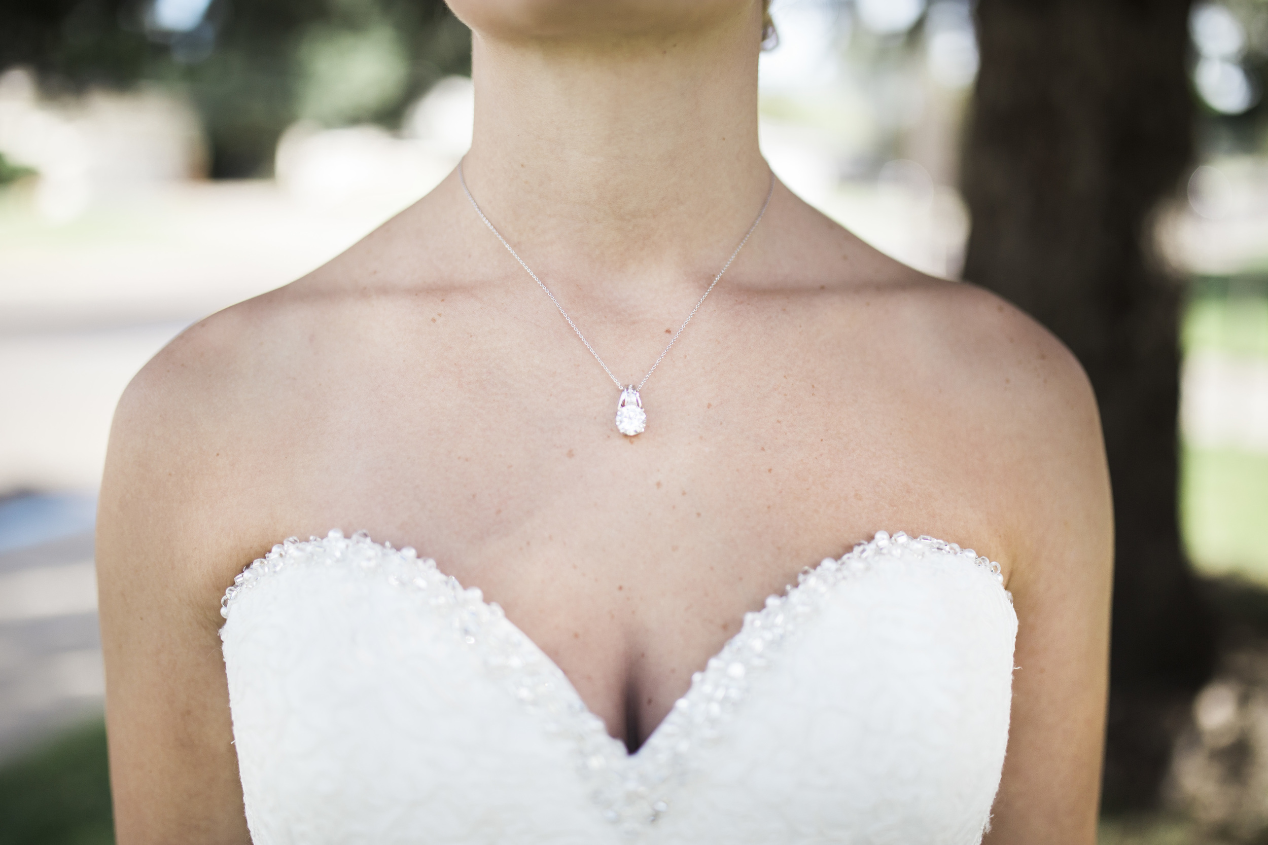 Bismarck, ND Wedding Photography