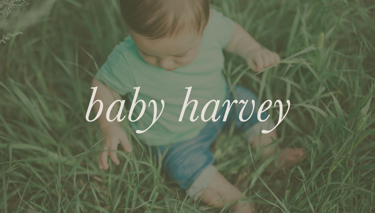 Baby Harvey | Bismarck, ND Family Photography
