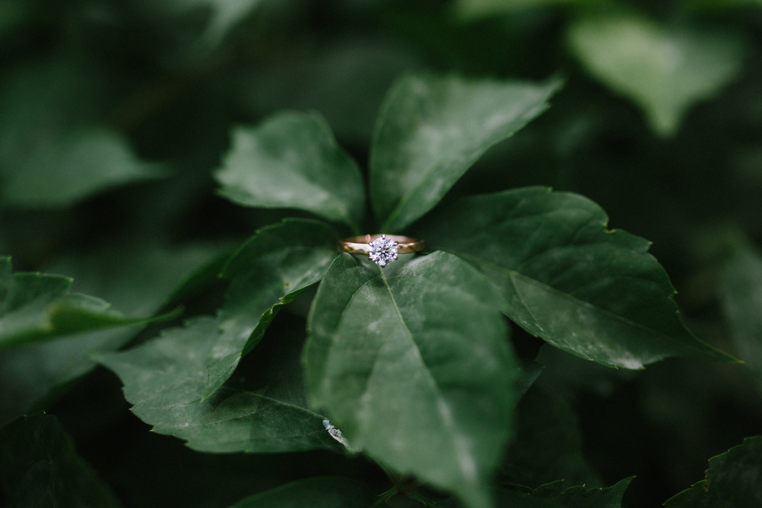 Proposal-16.jpg