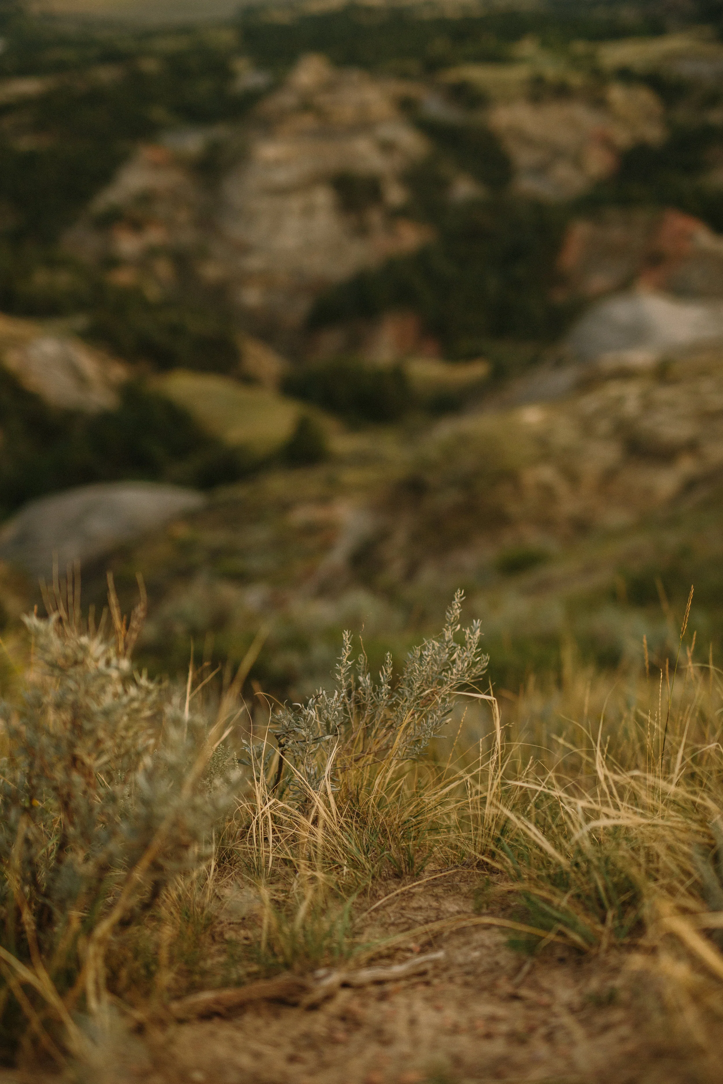 Camping-43.JPG