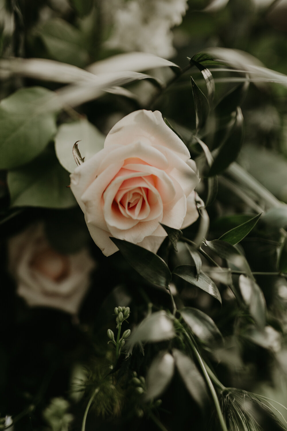 Blog-94.jpg