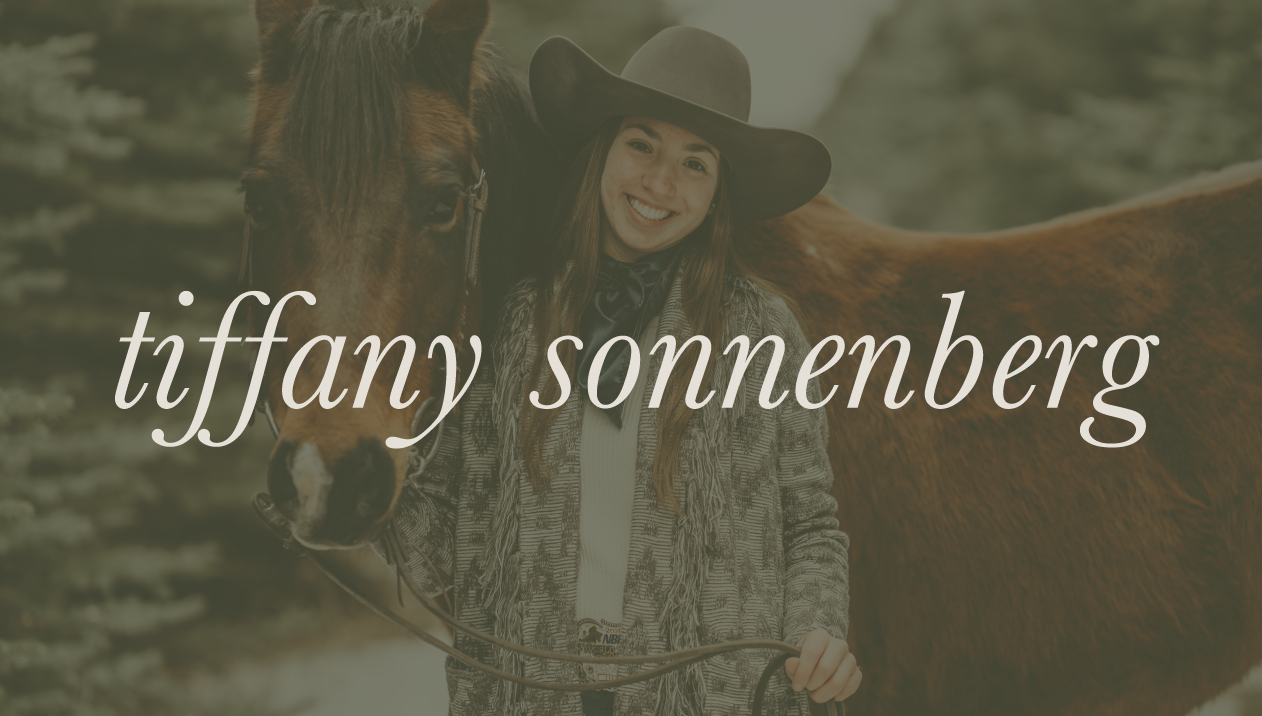 Tiffany Sonnenberg  |  Bismarck, ND Senior Photography