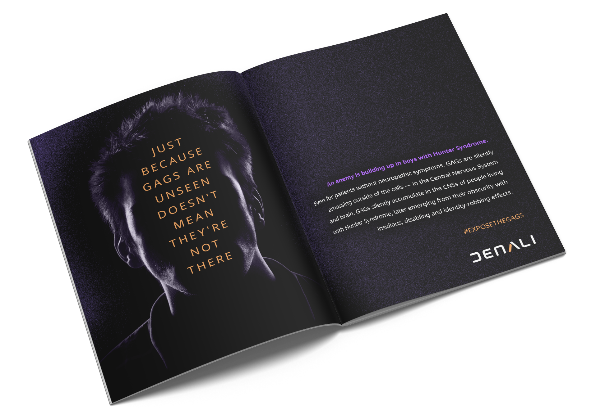 Hidden_Journal_MOCK_v2.png