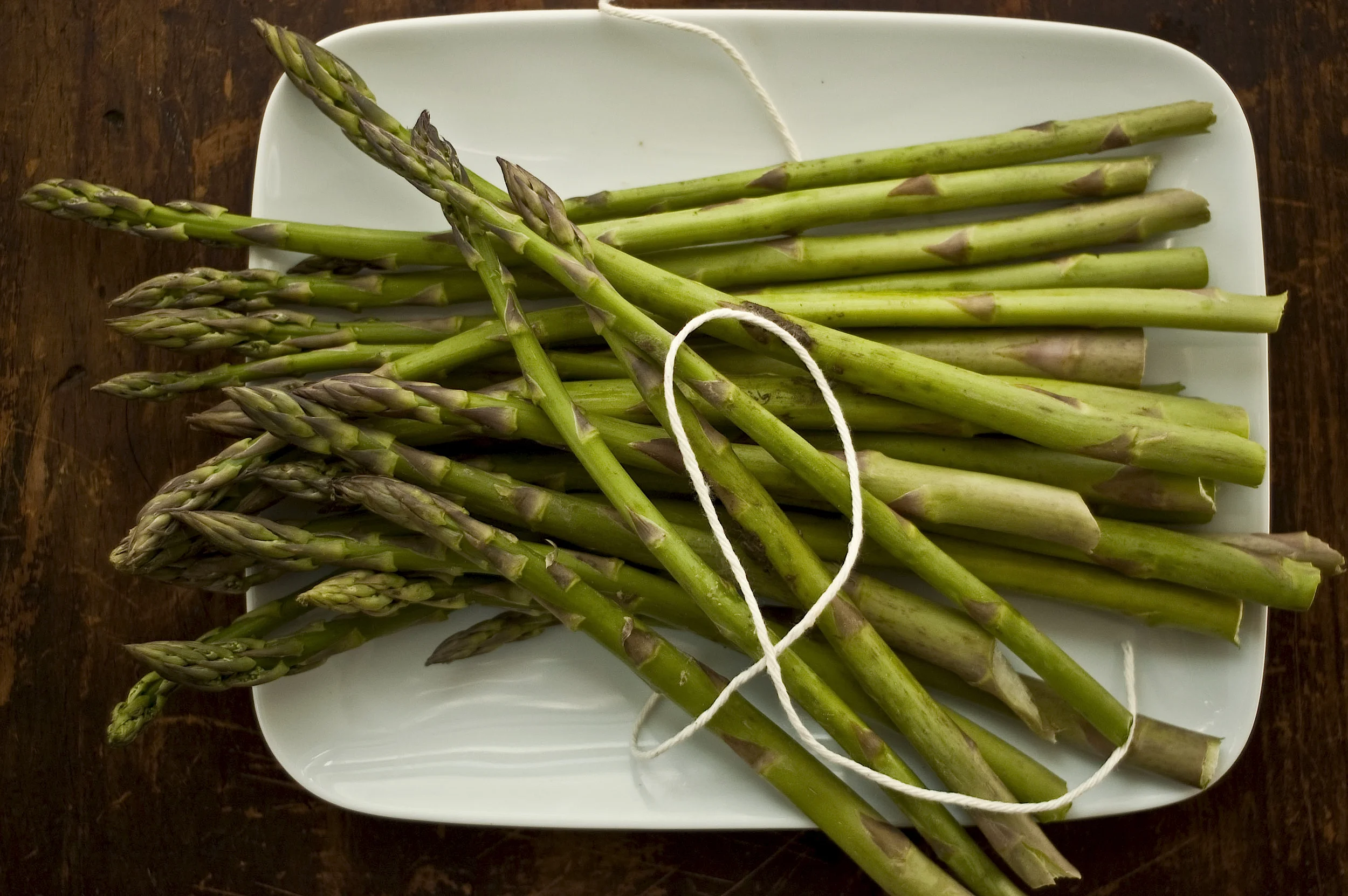 Viktor-Budnik-FA-032-string-asparagus-plate copy.jpg