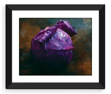 vb-rococo-purple-cabbage-frame.jpg