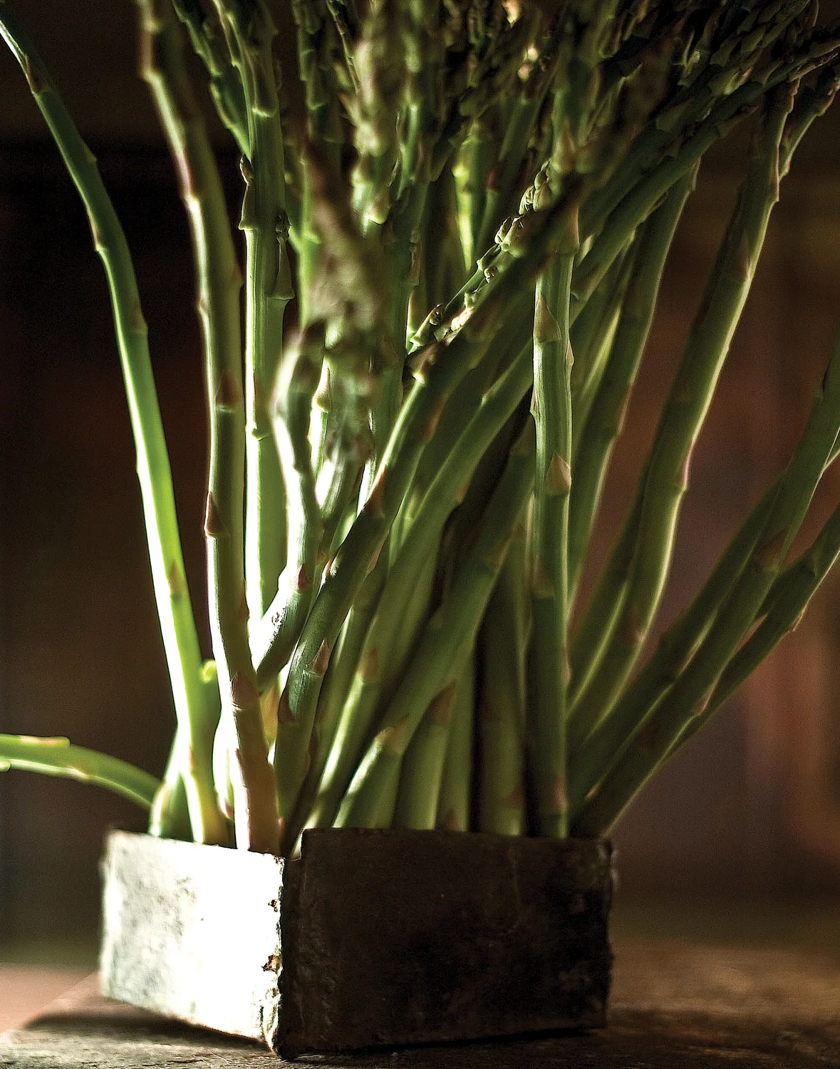 vb-rococo-asparagus.jpg