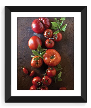 vb-rococo-tomatoes-frame.jpg