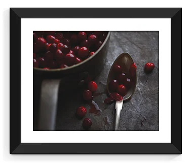 vb-rococo-cranberries-frame.jpg
