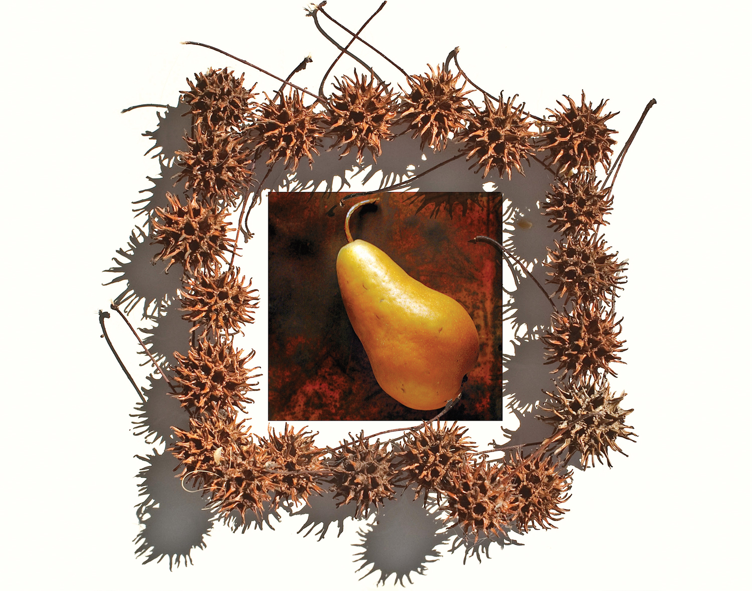 disruption-pear.jpg