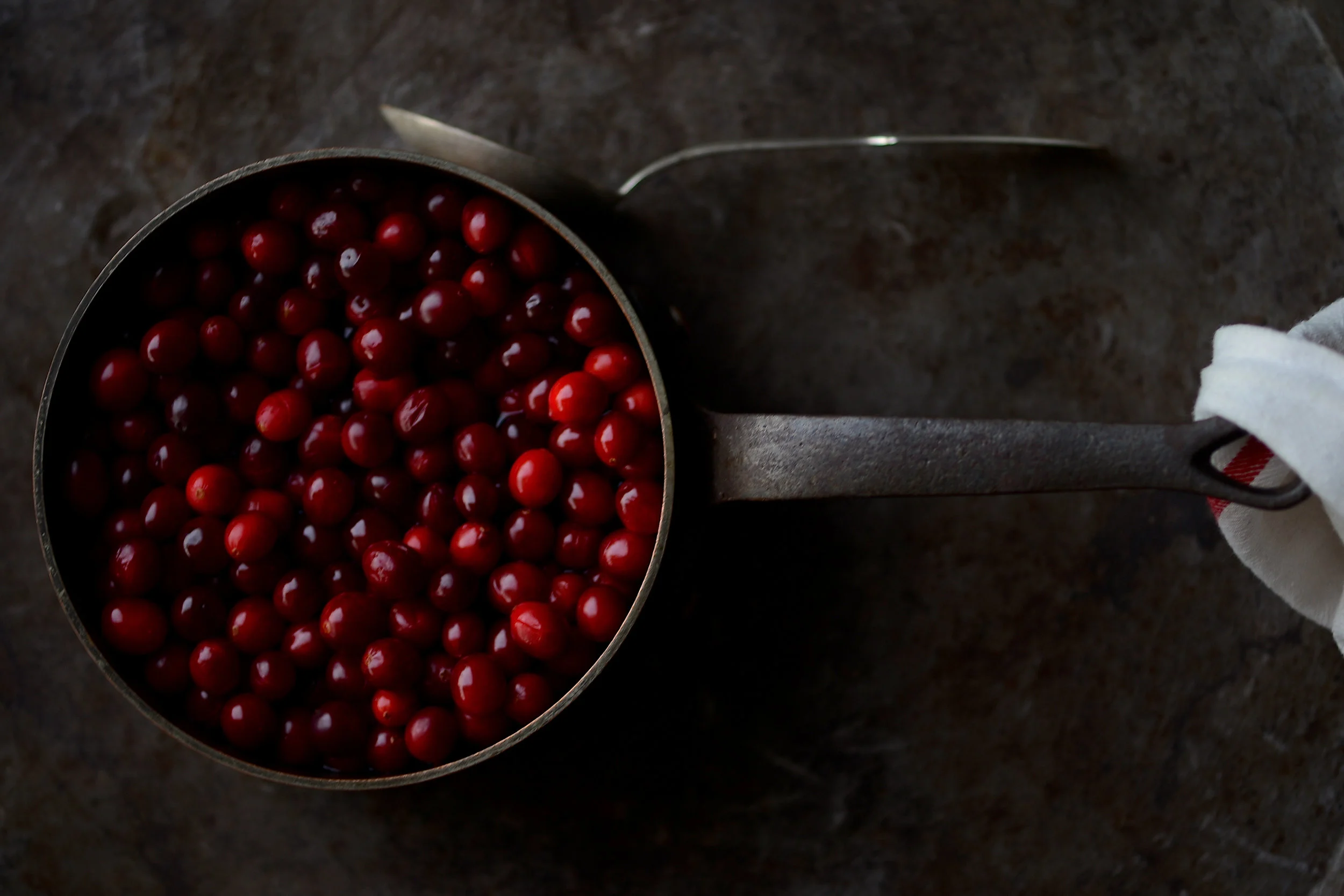 cooking with cranberries-vb-2016 copy.jpg