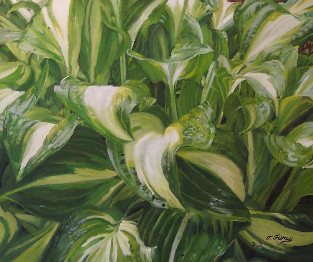 Variation of Viridian, The Hostas Study