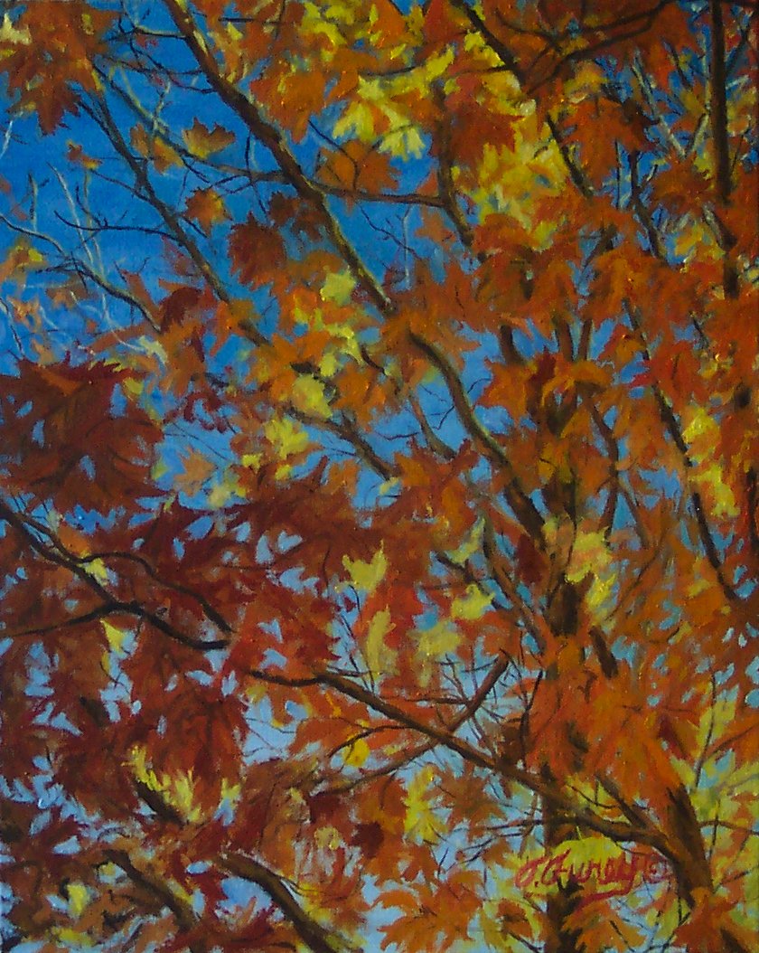 Fall Leaves