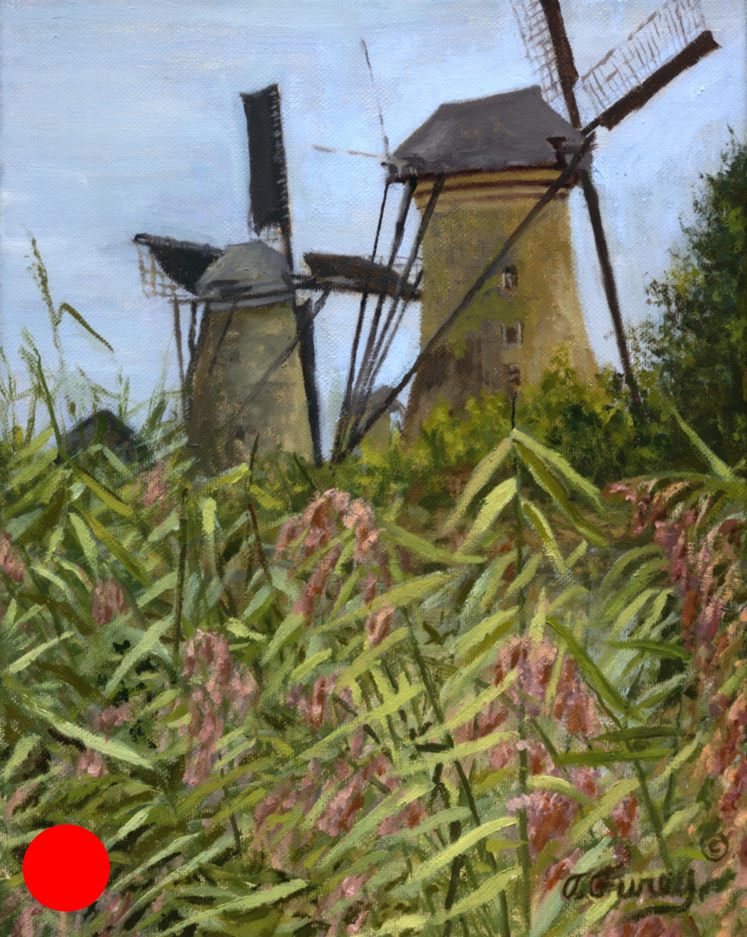 Kinderdijk Amsterdam