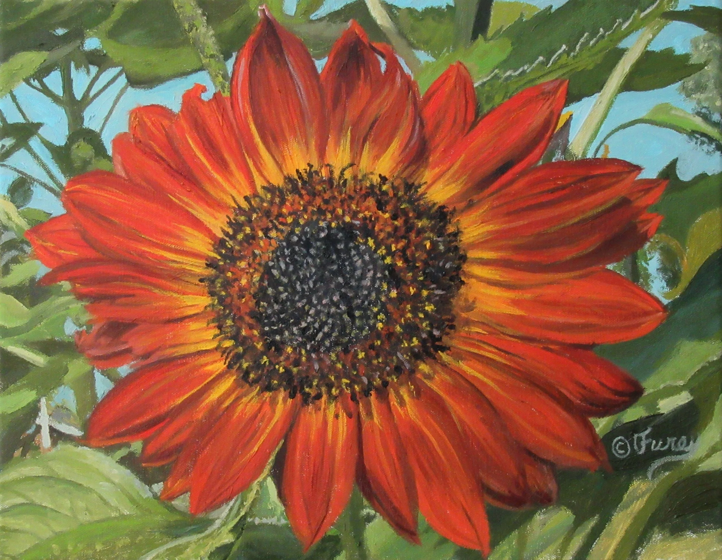 FIREFLOWER