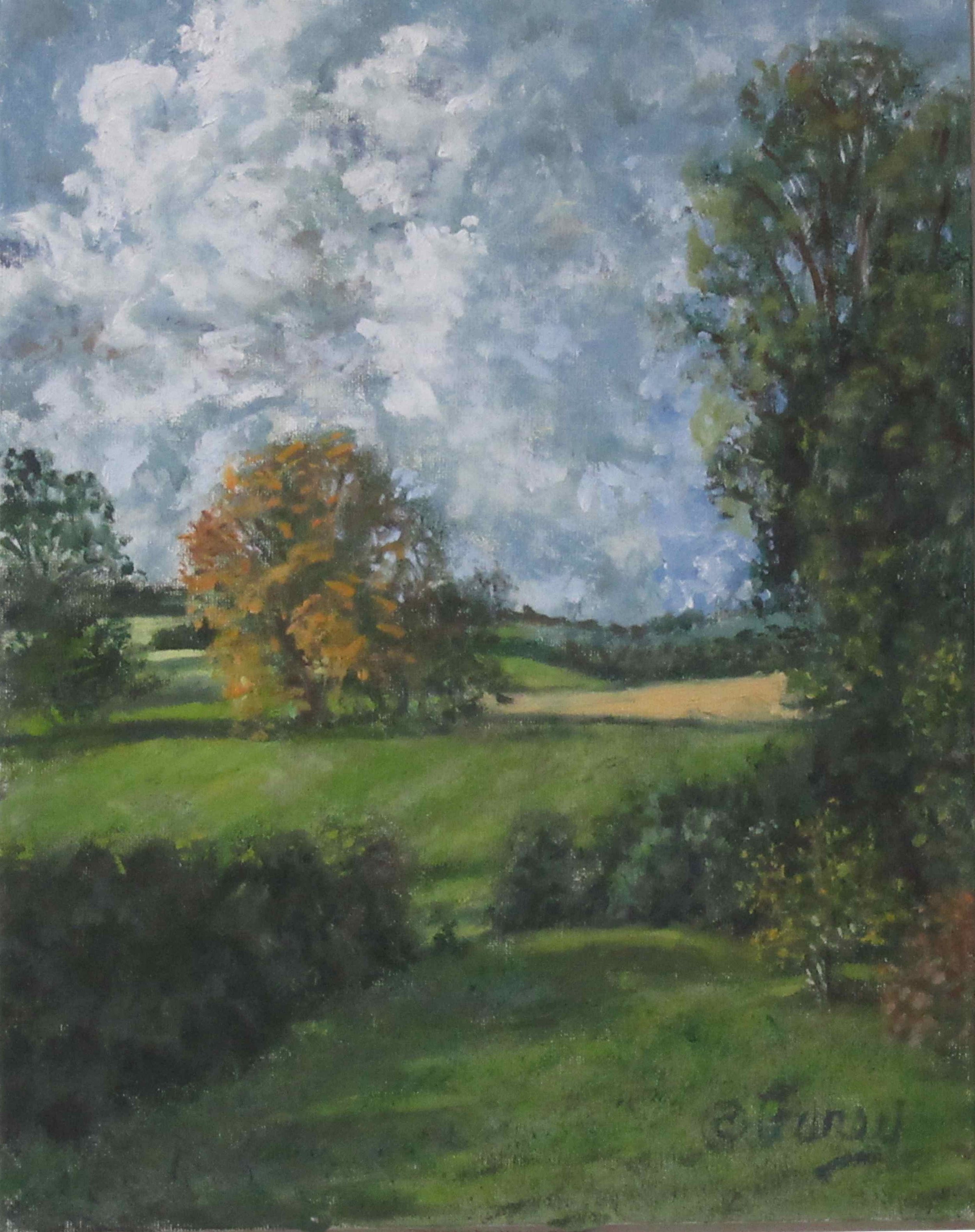 Valley Trees