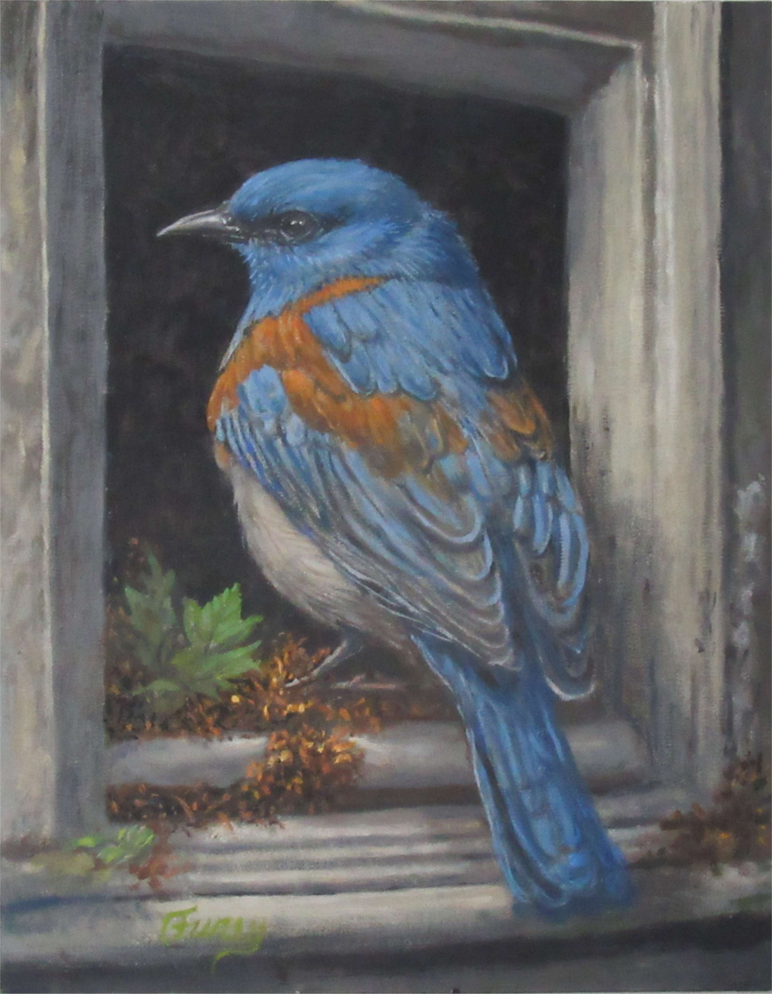 Blue Bird in a Box