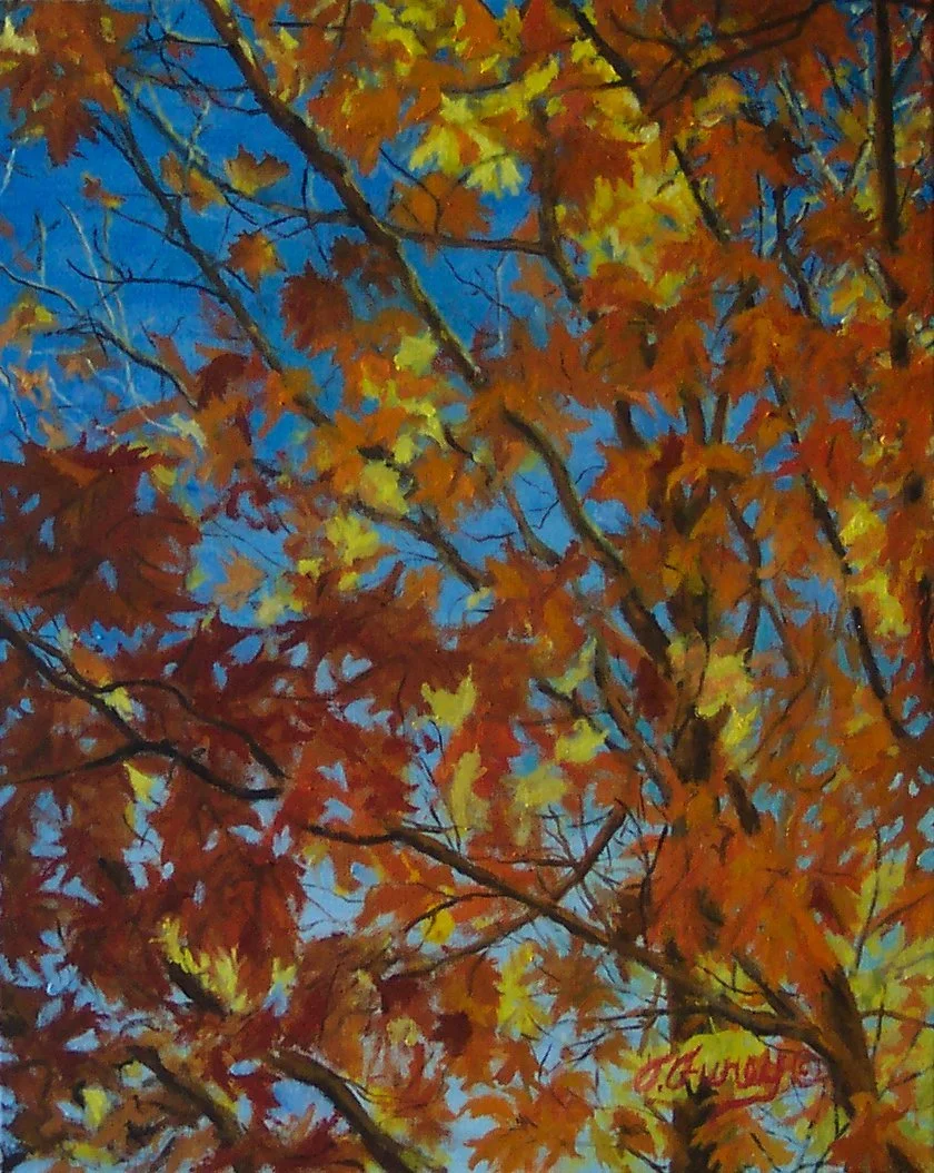 Fall Leaves