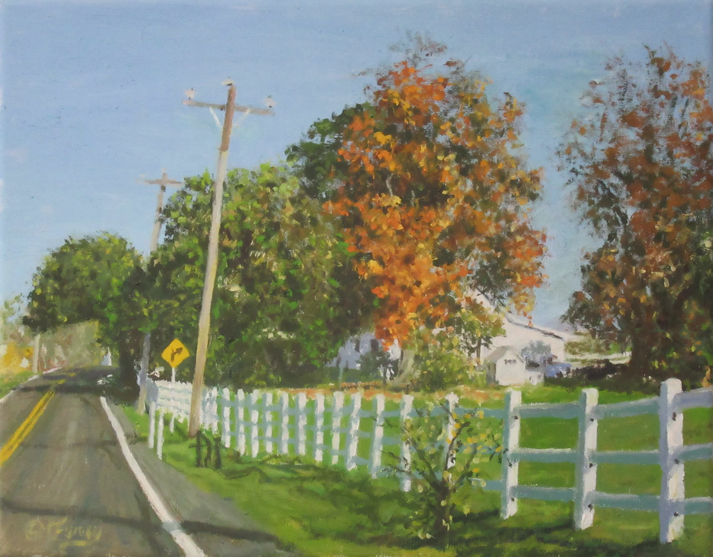 Road Trim