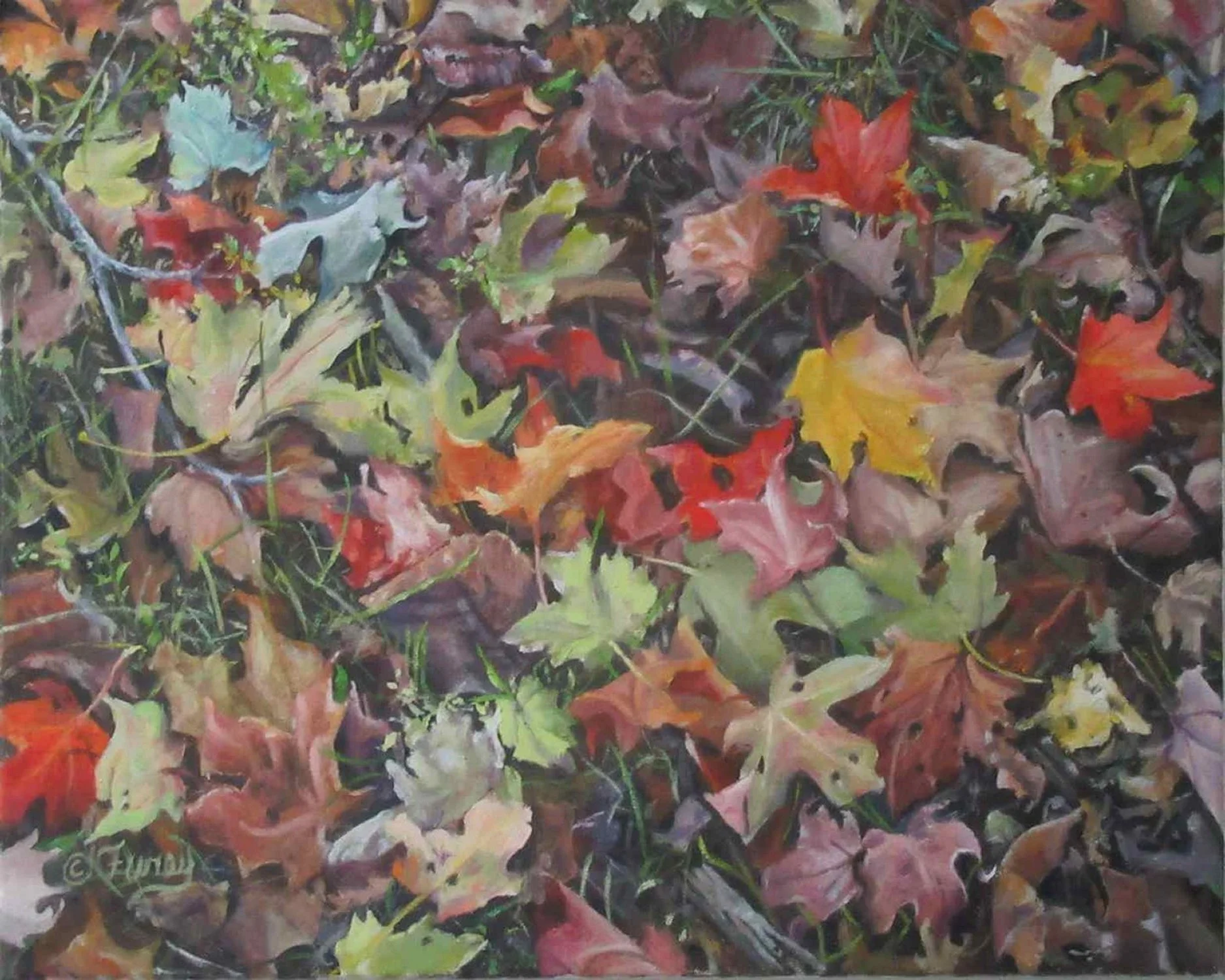 Amazing Leaves