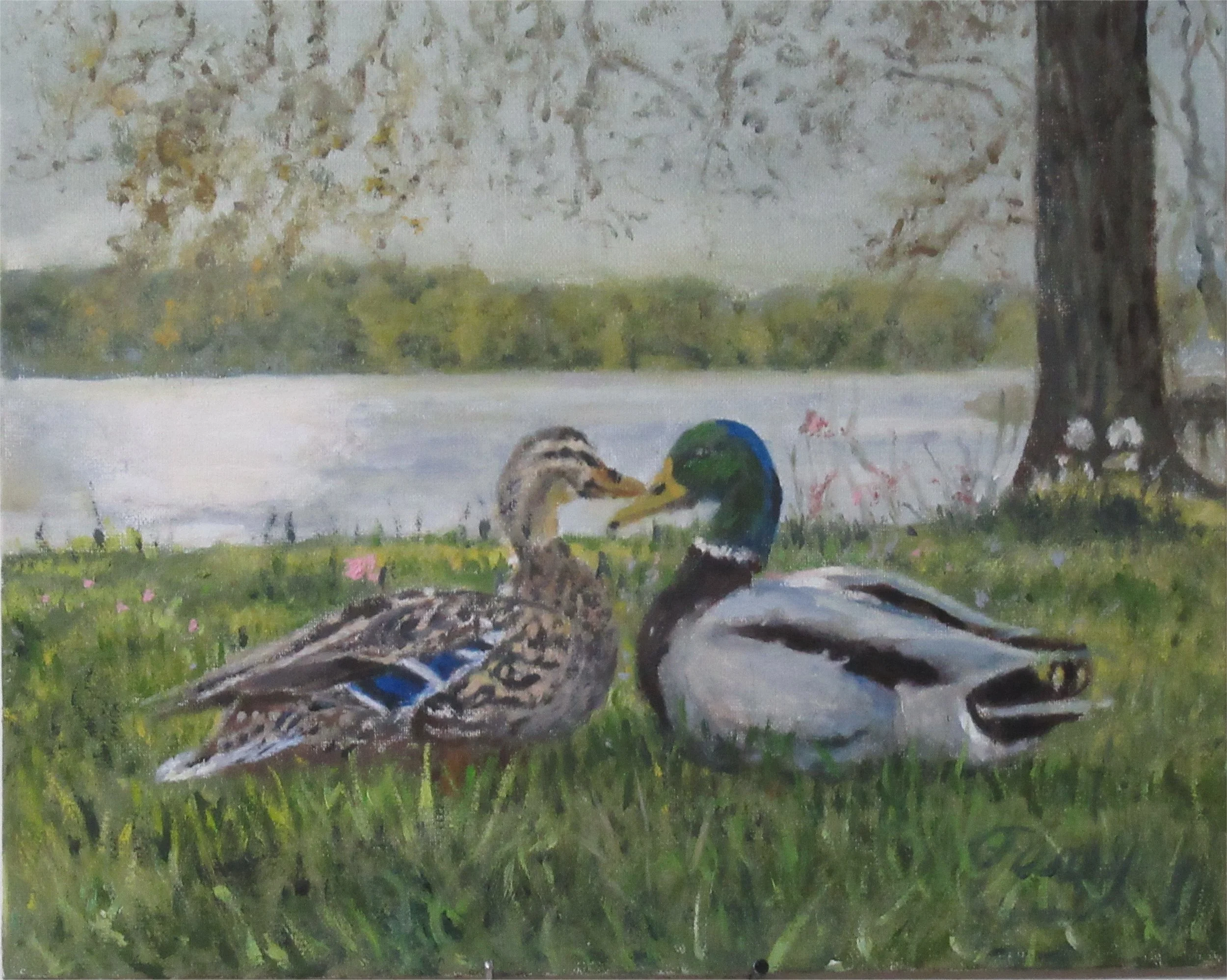 Duck Love
