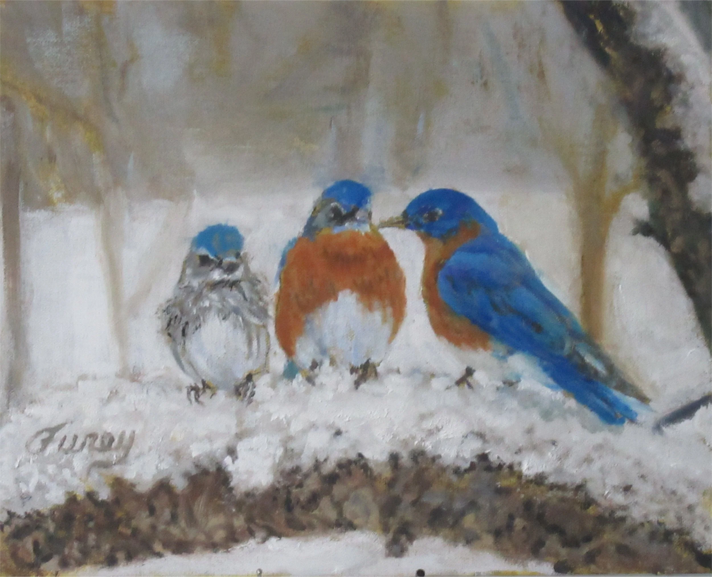 Snow Blue Birds