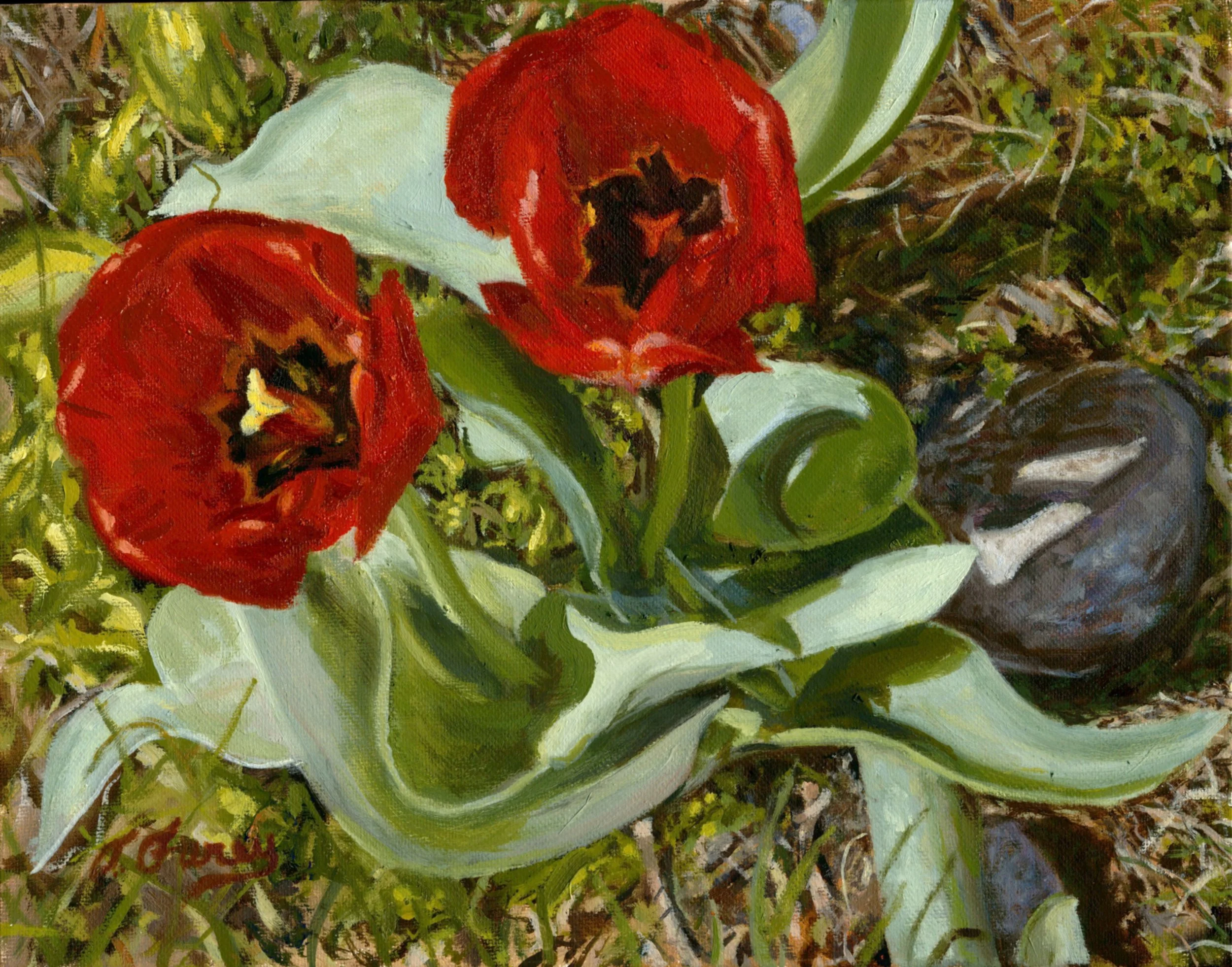 Red Tulips