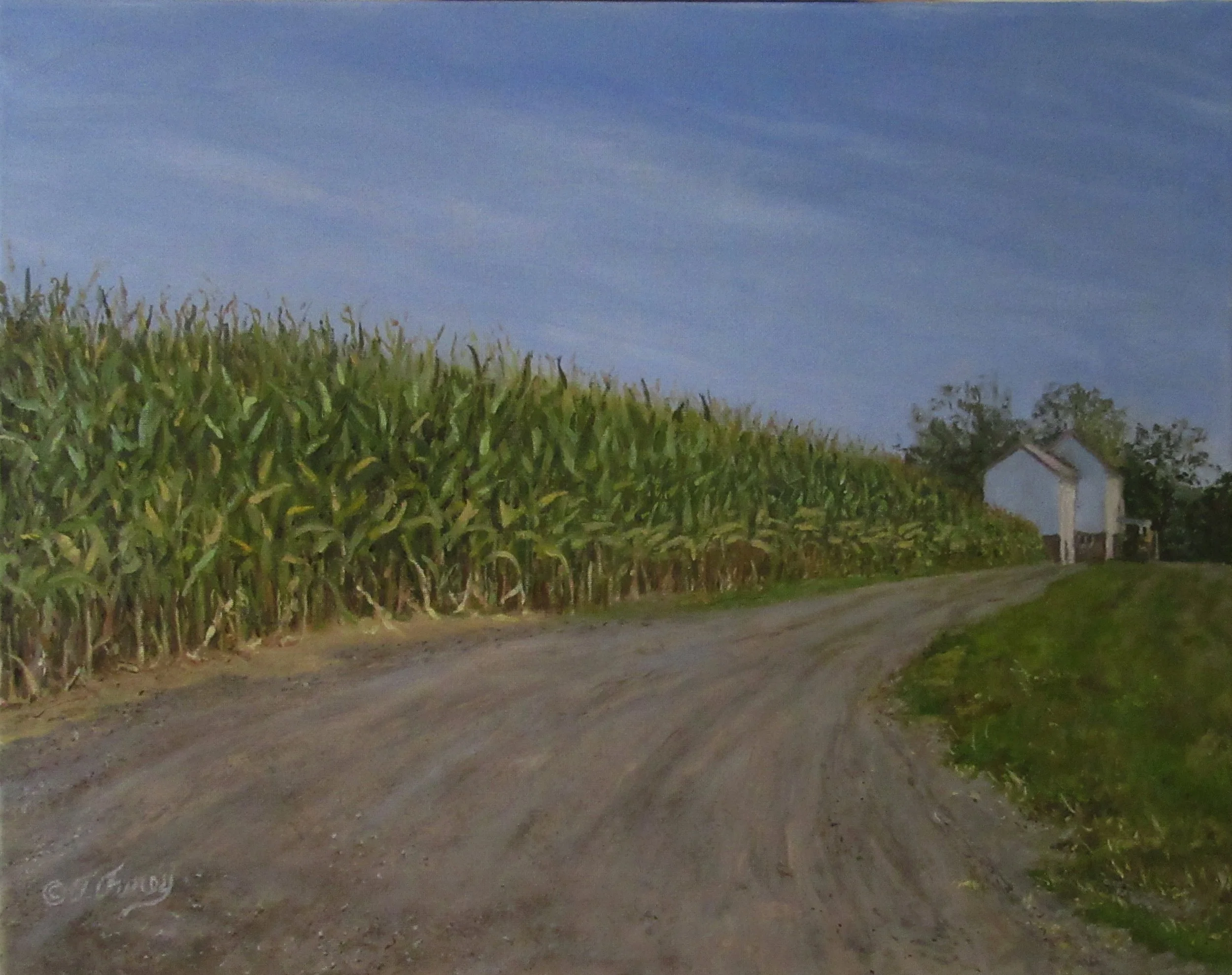 Patterson Corn