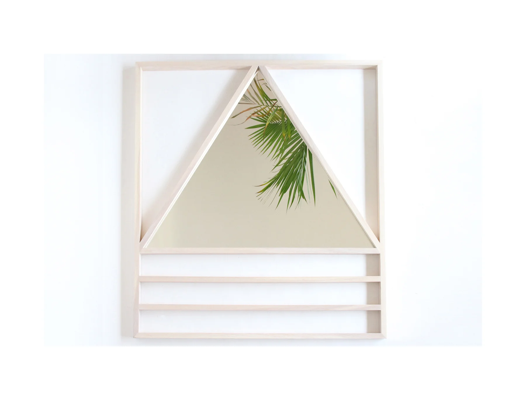 palm 2.jpg