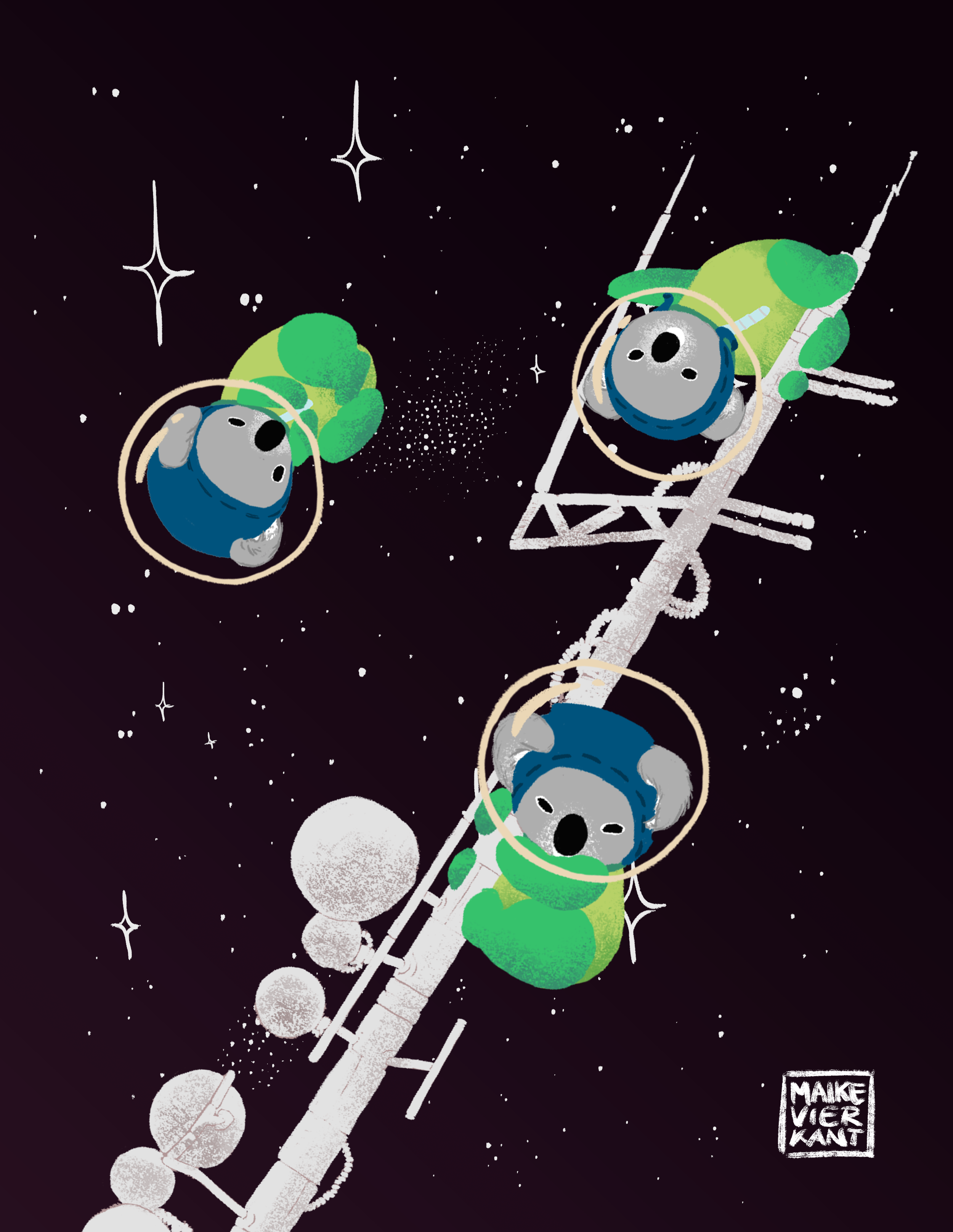 Space Koalas_2_hires.png