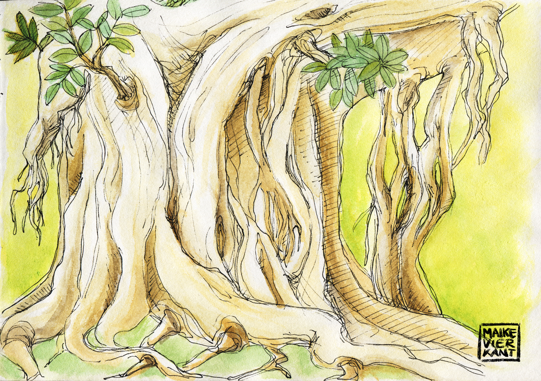Tree Alicante_logo.png