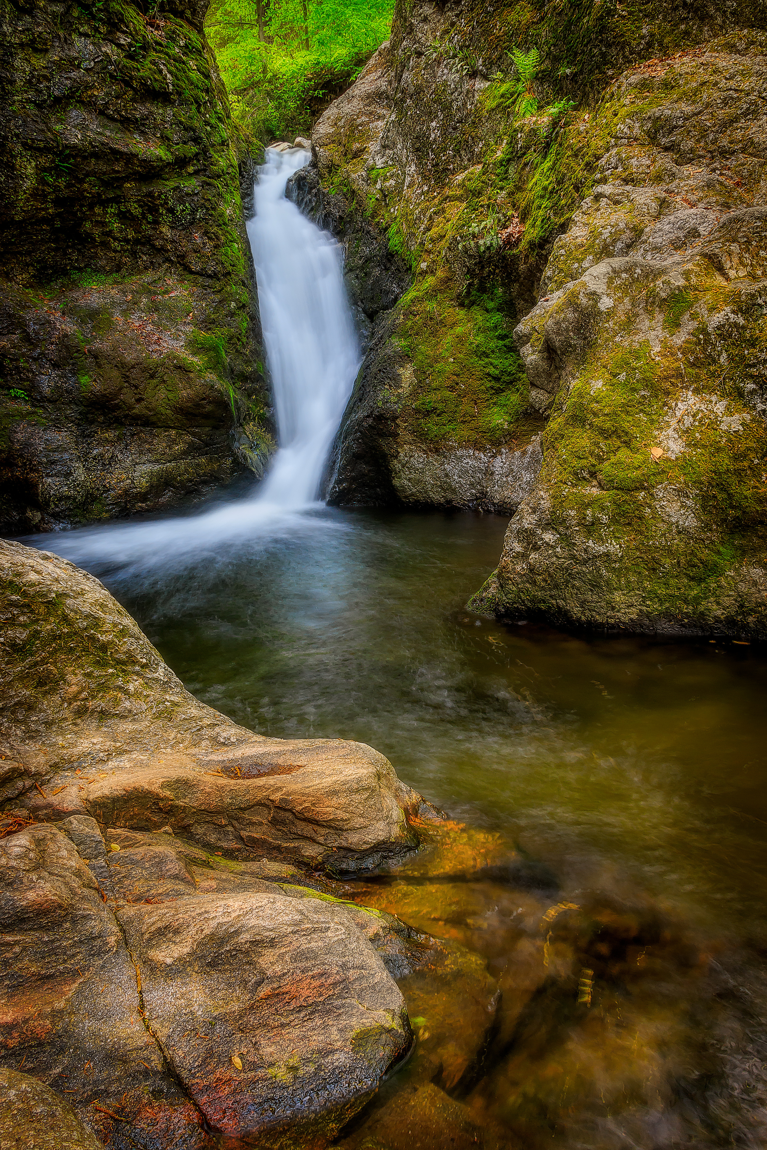  Taken at Indian Well State Park in Shelton, Connecticut, USA. 