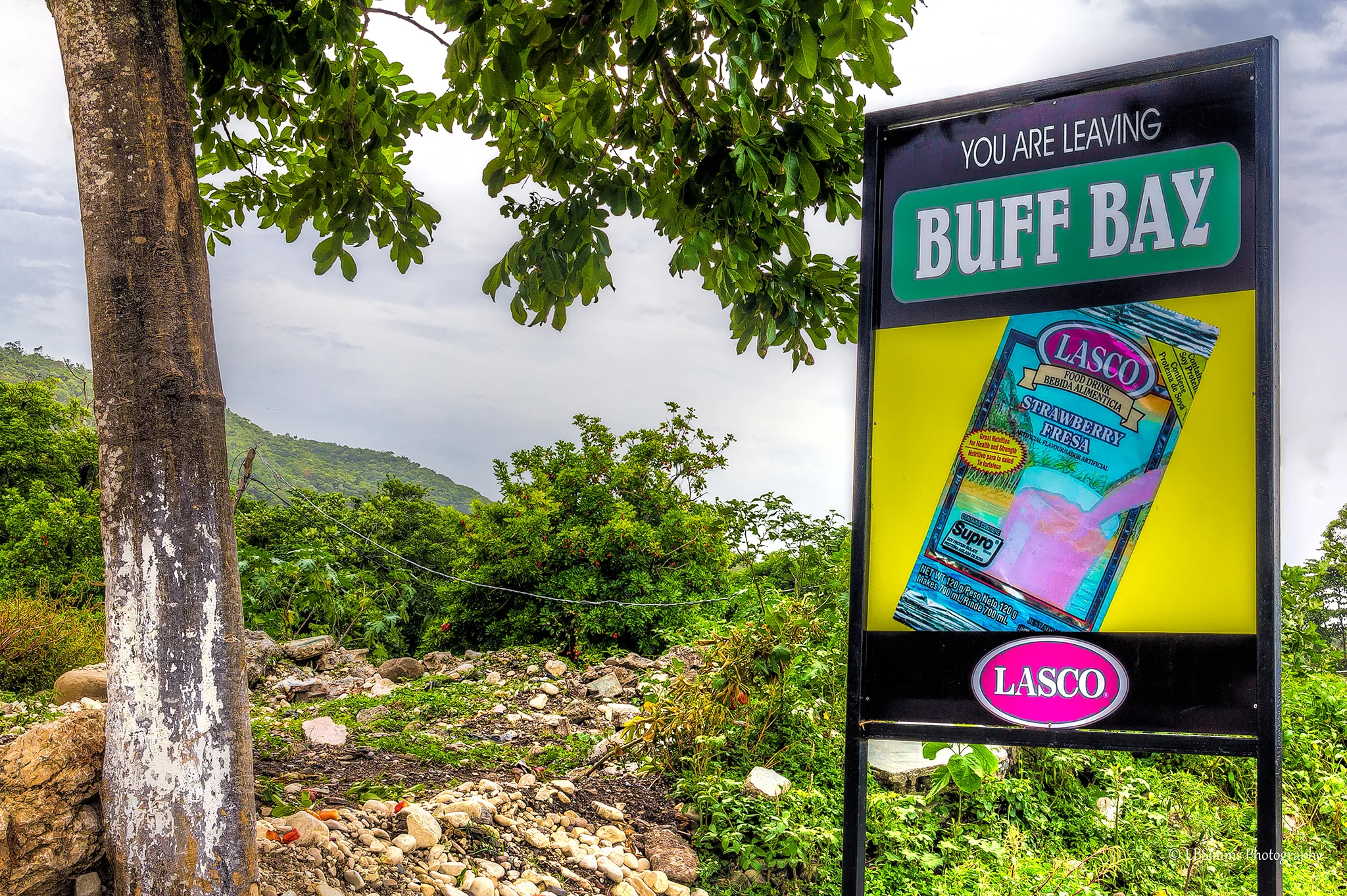 Buff-Bay_New.jpg