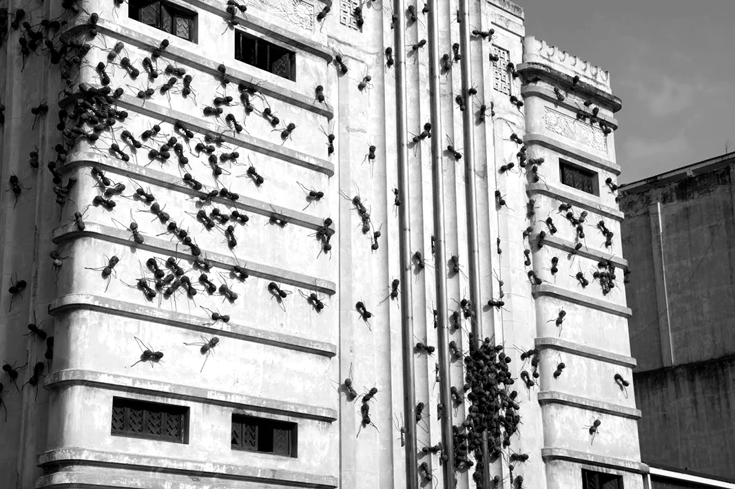 Places 2.jpg
