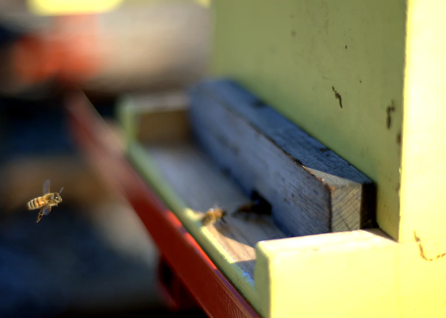 Places 3.jpg