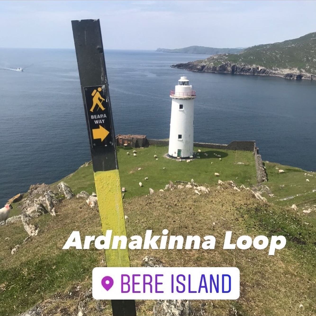 Trip to Bere Island today, stunning walk &amp; weather @bereislandferries #bearapeninsula #castletownbere #bearaway #ringofbeara #westcork #staycation #selfcatering