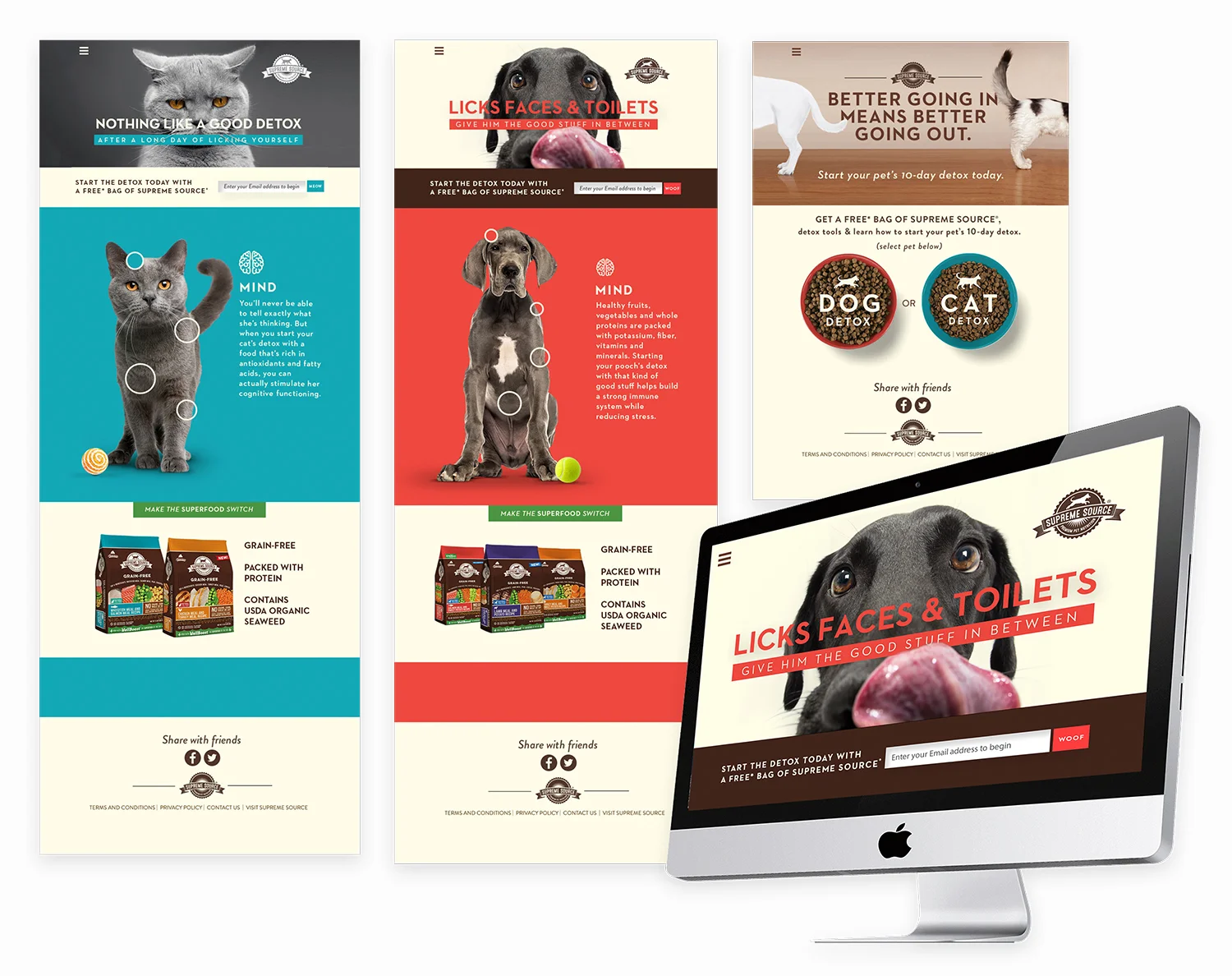 American Pet Nutrition "Super Food" Campaign