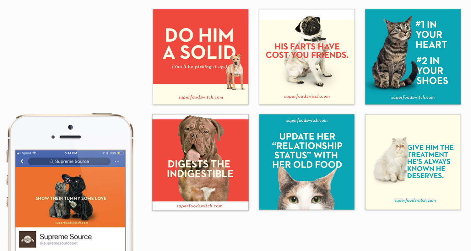 American Pet Nutrition