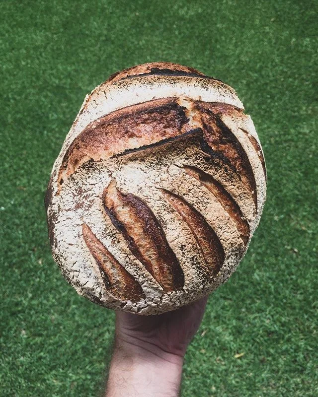 Sunny South African Sourdough